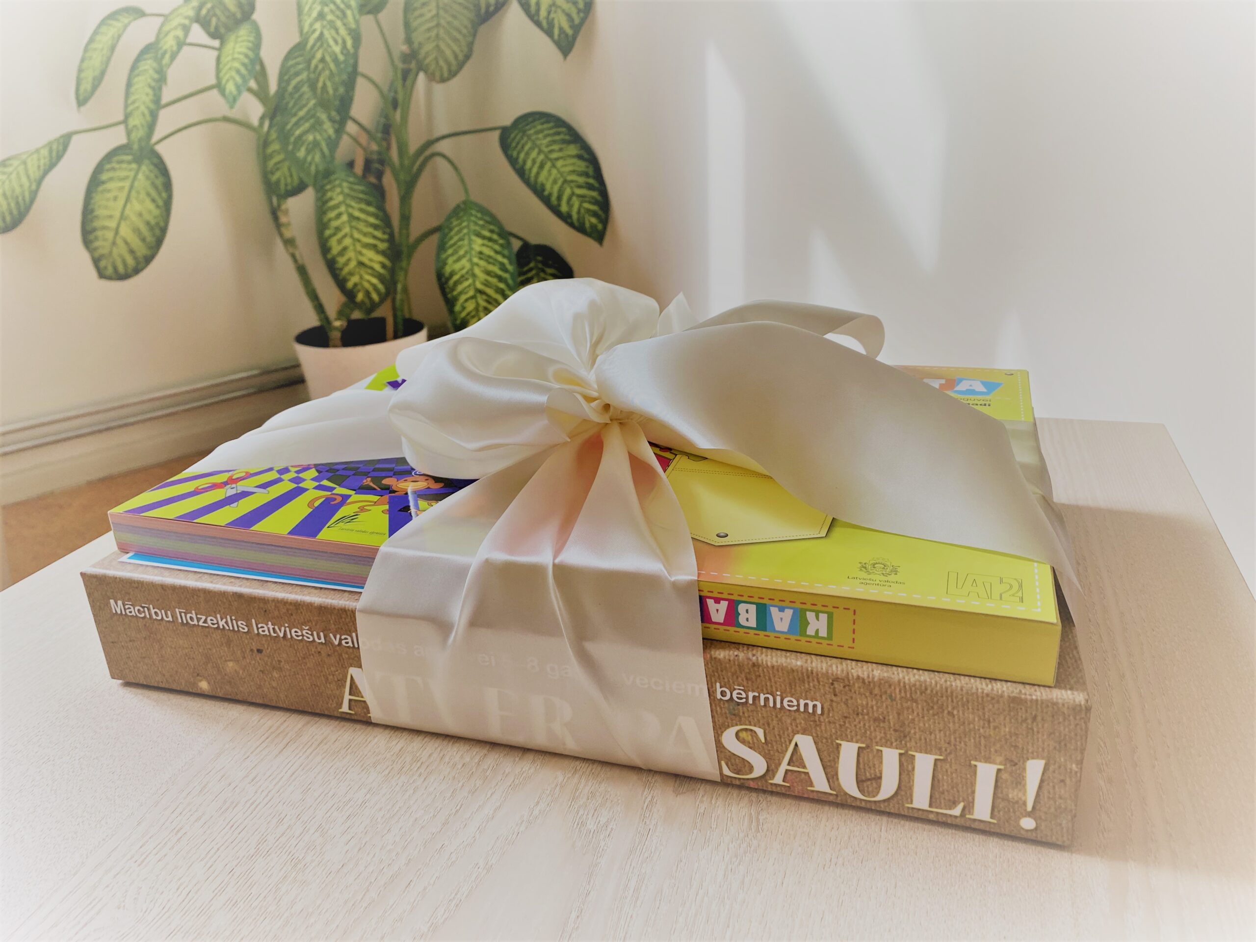 veicinot remigrantu gimenu bernu integraciju sabiedriba smiltenes novada pasvaldiba atbalsta macibu materialu iegadi