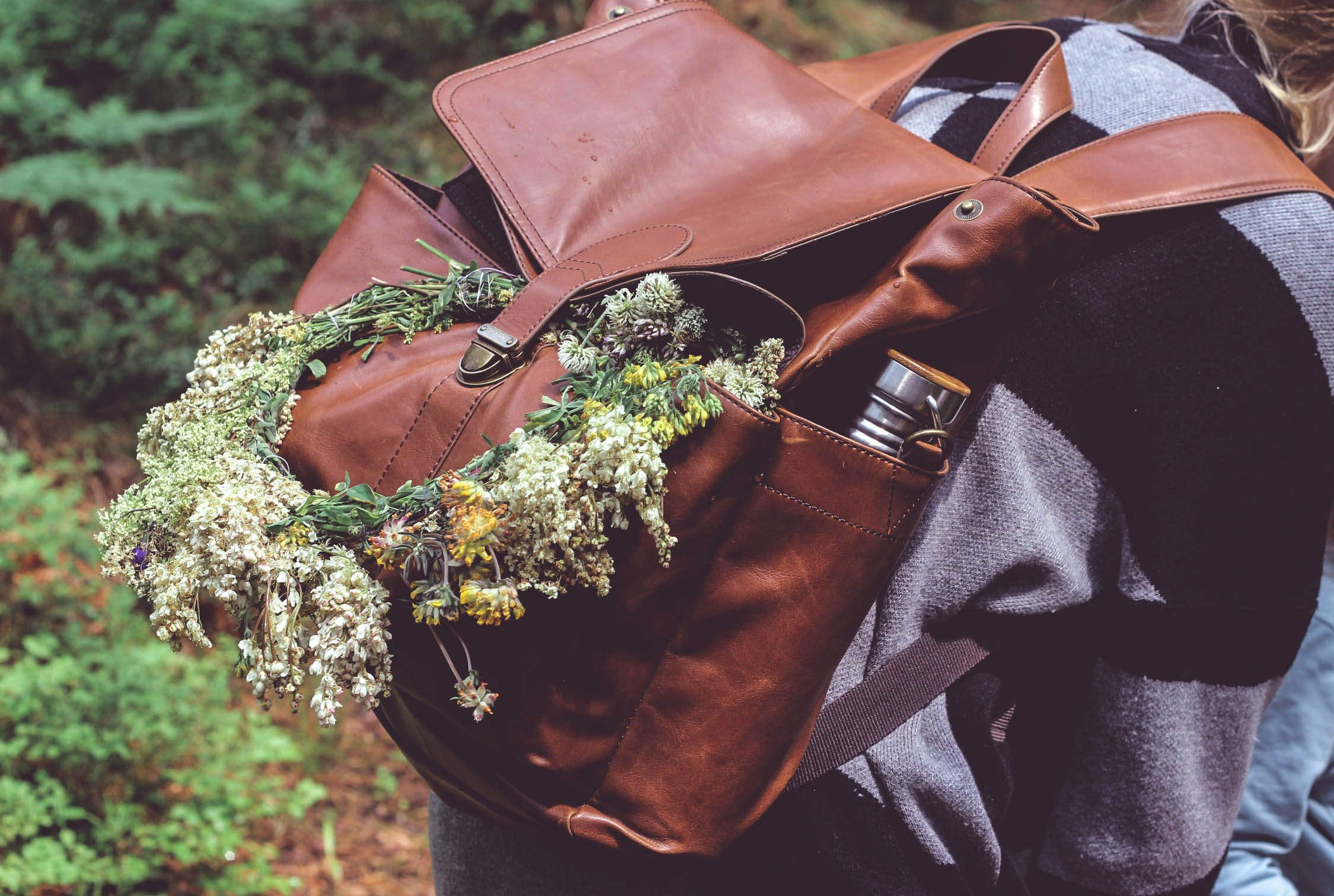 vidzeme 2018 gada no arzemem uz dzivi latvija atgriezusas 36 gimenes