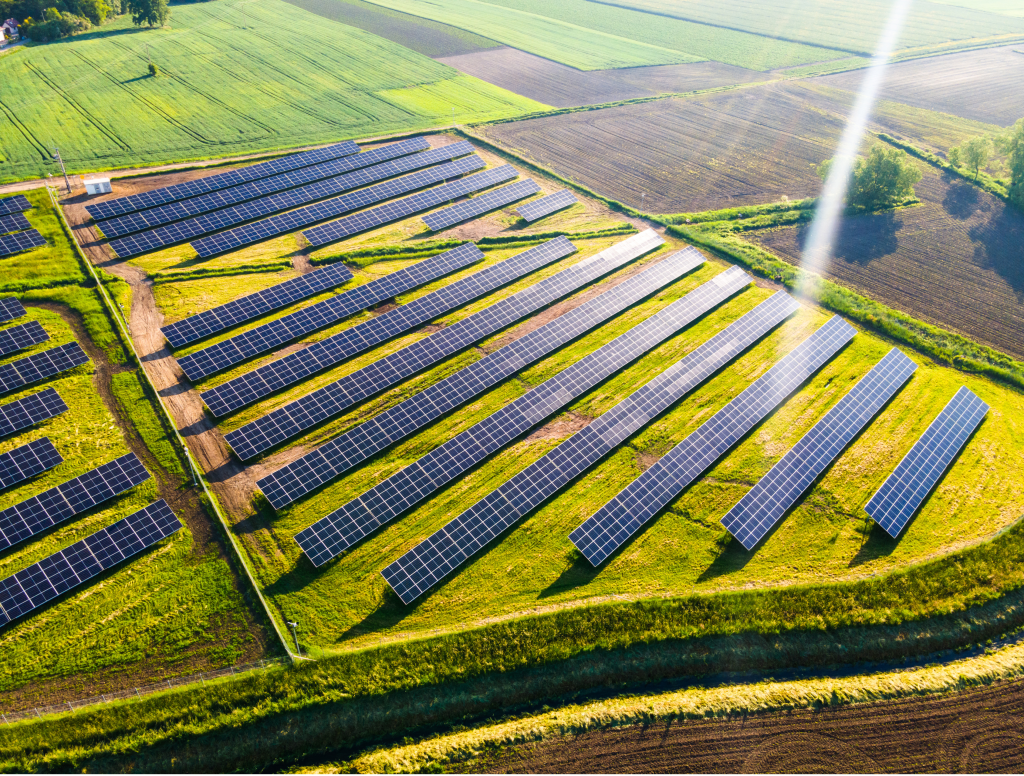 daudzfunkcionalu novatorisku fotoelementu energijas sistemu paatrinasana izmantojot biologiskas daudzveidibas jutiguma novertejumu biodiverse