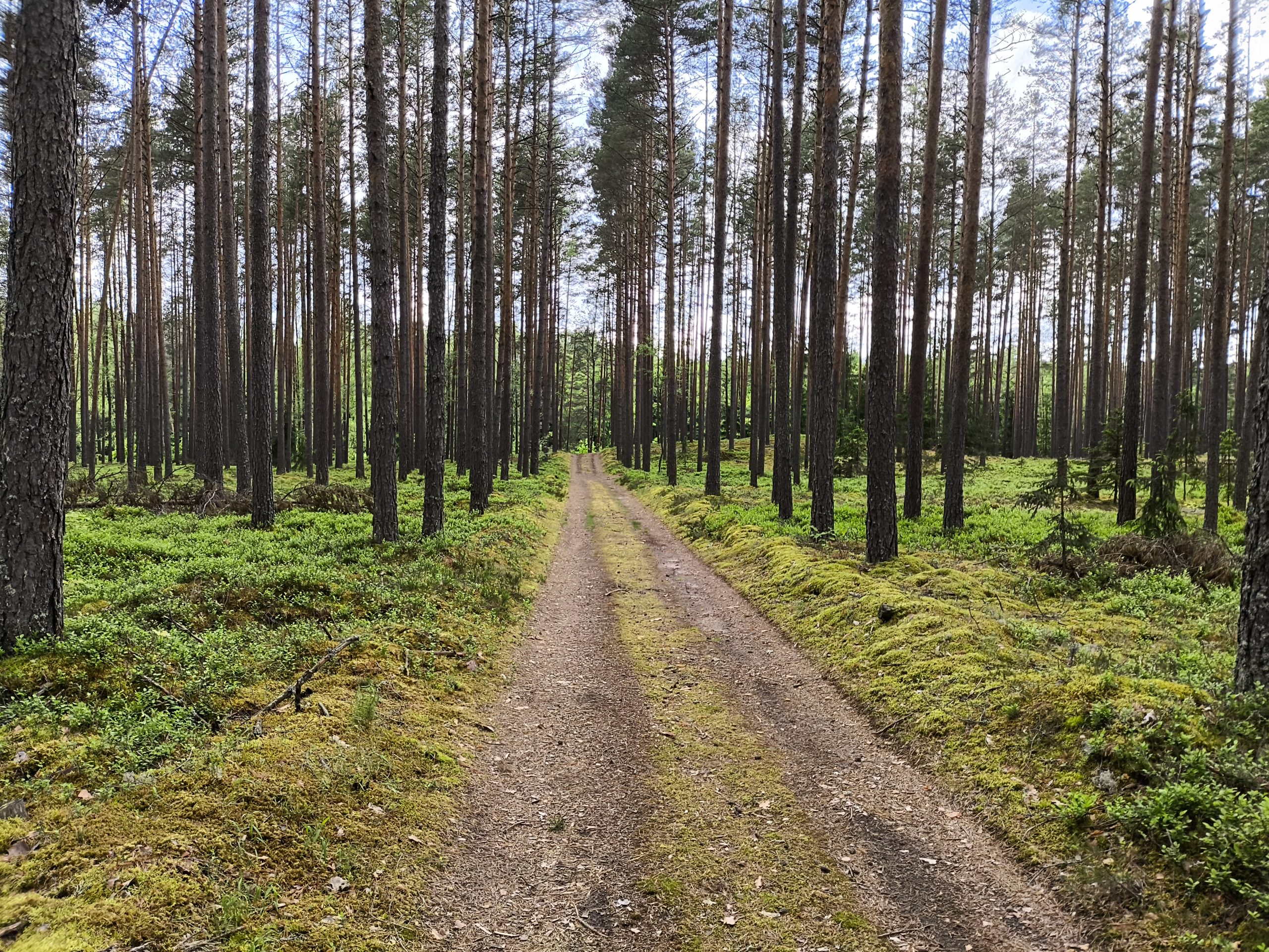 vidzemes meztaka atklata digitali spelejama pargajiena spele gimenem ar maziem berniem