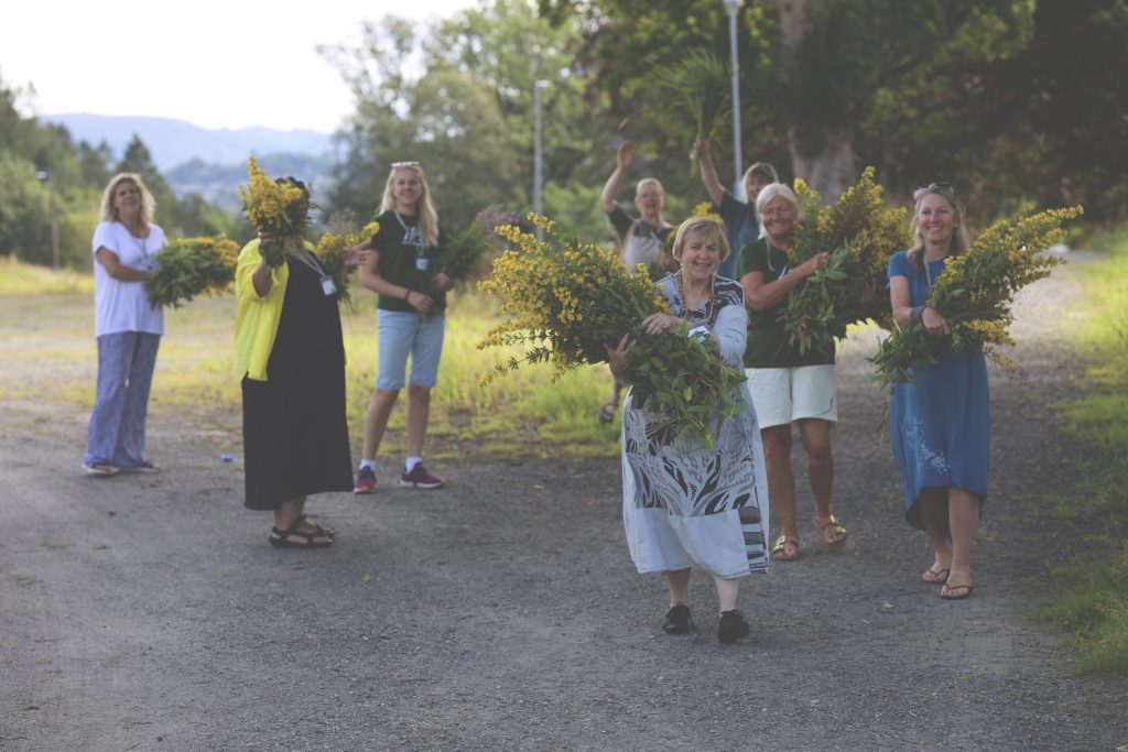 inga madzule vasara ir visaktivakais laiks darba ar diasporu