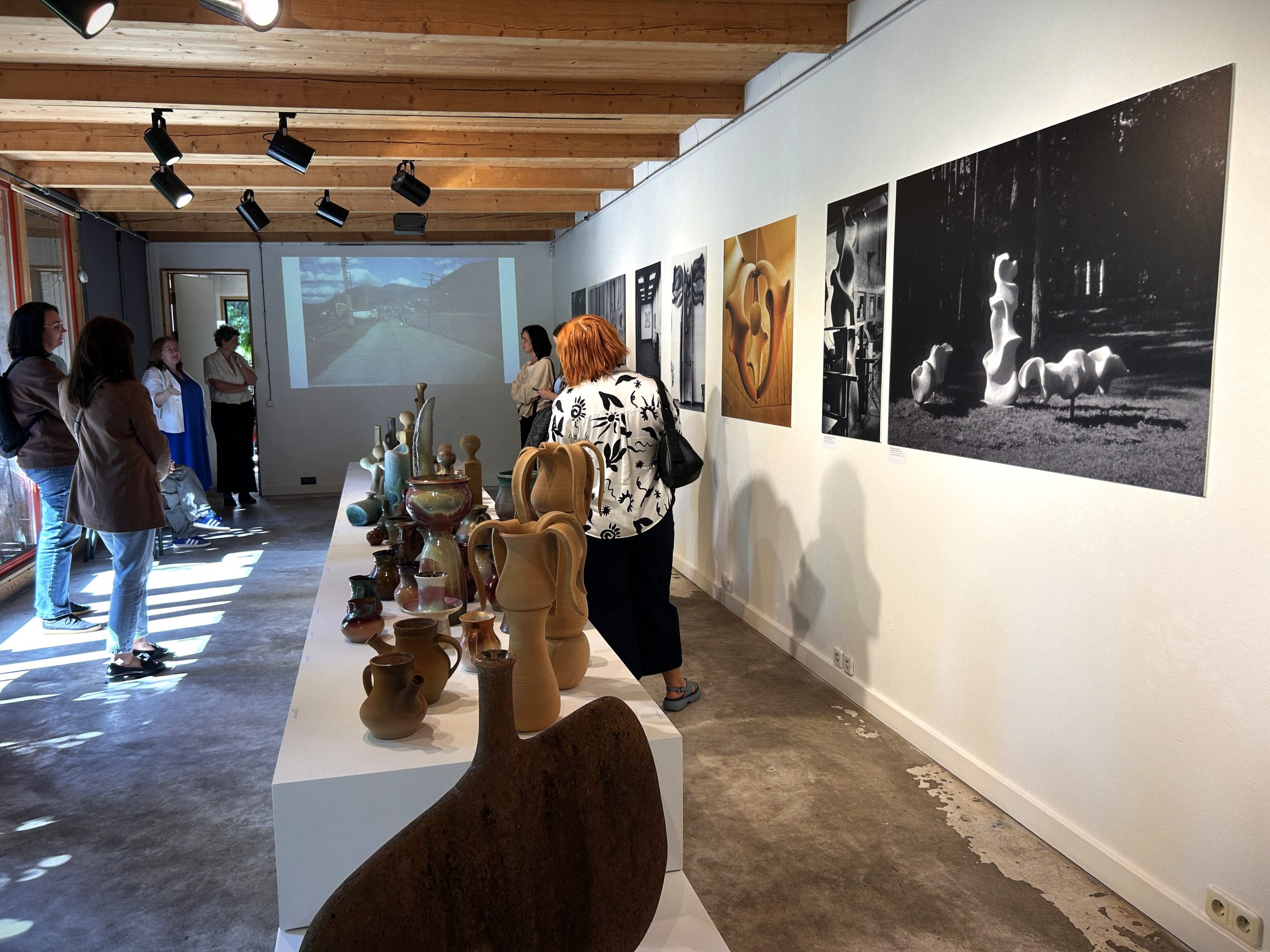 vidzemes pasvaldibu parstavji gust pieredzi musdieniga tirgus attistiba