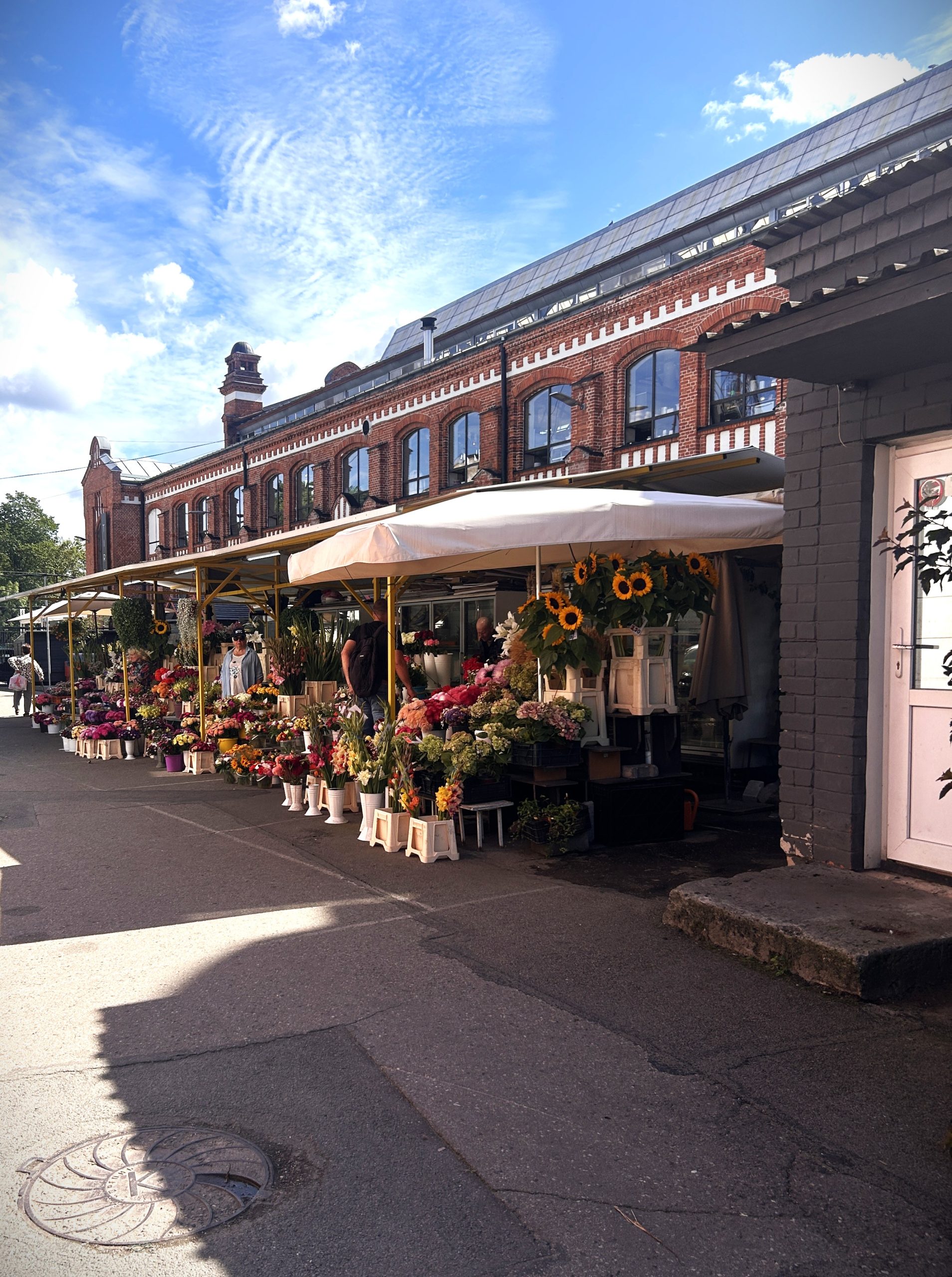 vidzemes pasvaldibu parstavji gust pieredzi musdieniga tirgus attistiba