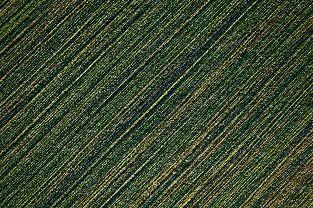 balstoties uz poliruralplus rezultatiem varam iesaista vpr jaunu raim indikatoru izstrade