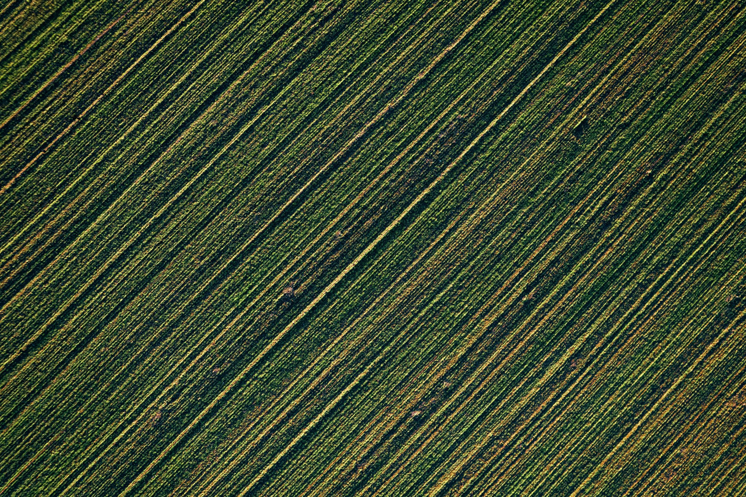 balstoties uz poliruralplus rezultatiem varam iesaista vpr jaunu raim indikatoru izstrade