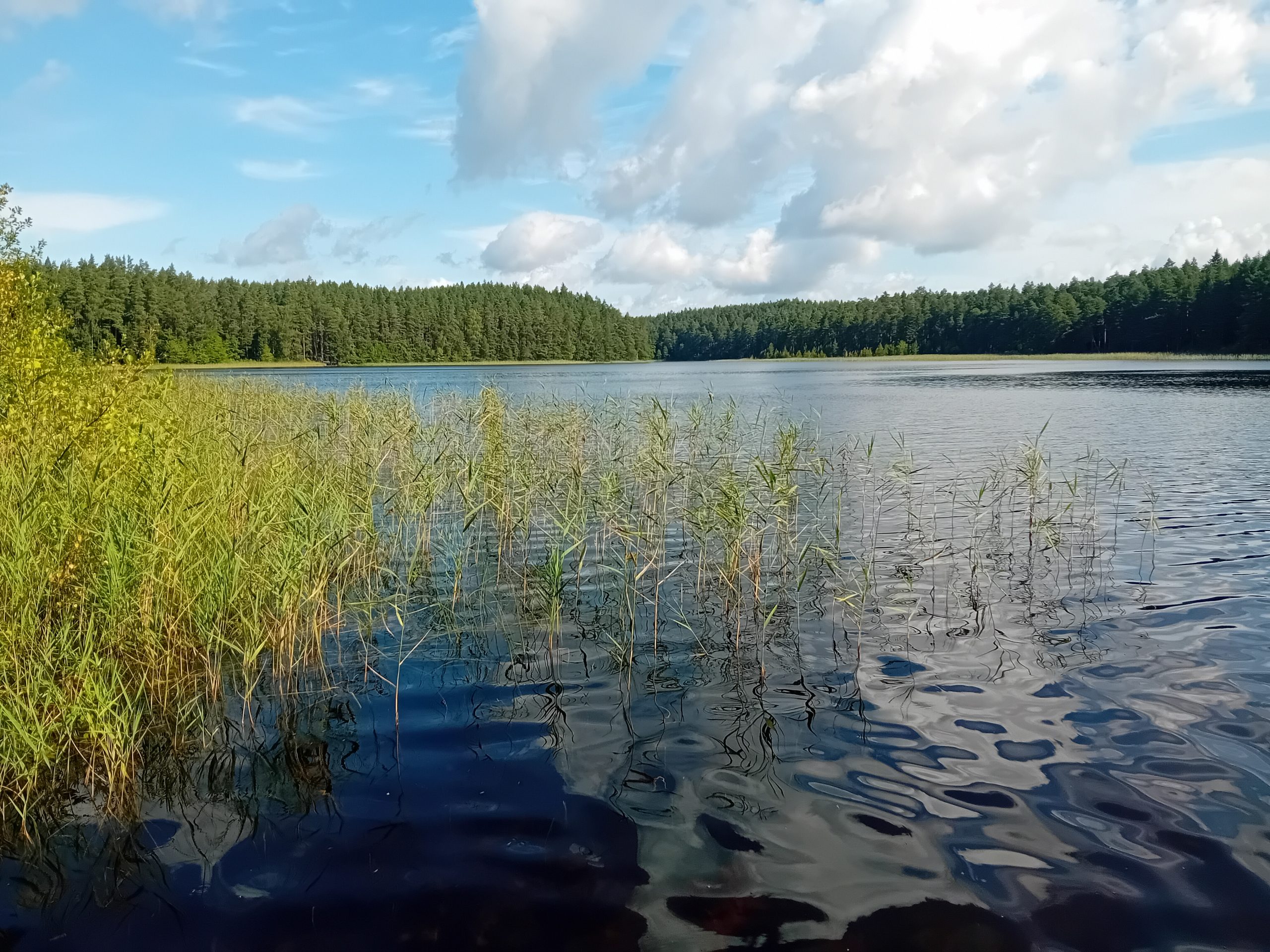 four more lakes in vidzeme have been recognized as sufficiently accessible for people with disabilities seniors and families with small children