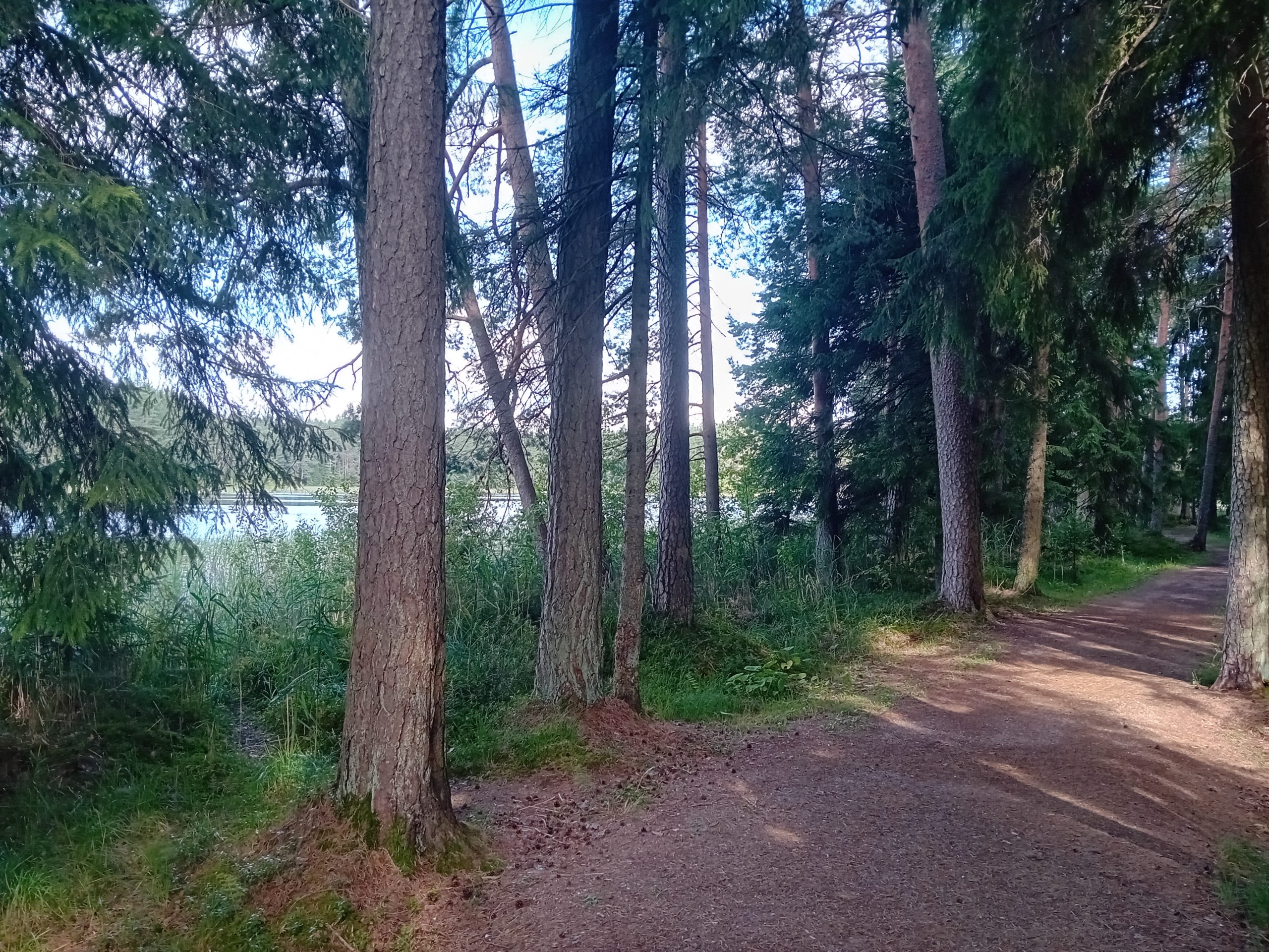 vel cetri vidzemes ezeri atziti par pietiekami pieejamiem cilvekiem ar invaliditati senioriem un gimenem ar maziem berniem