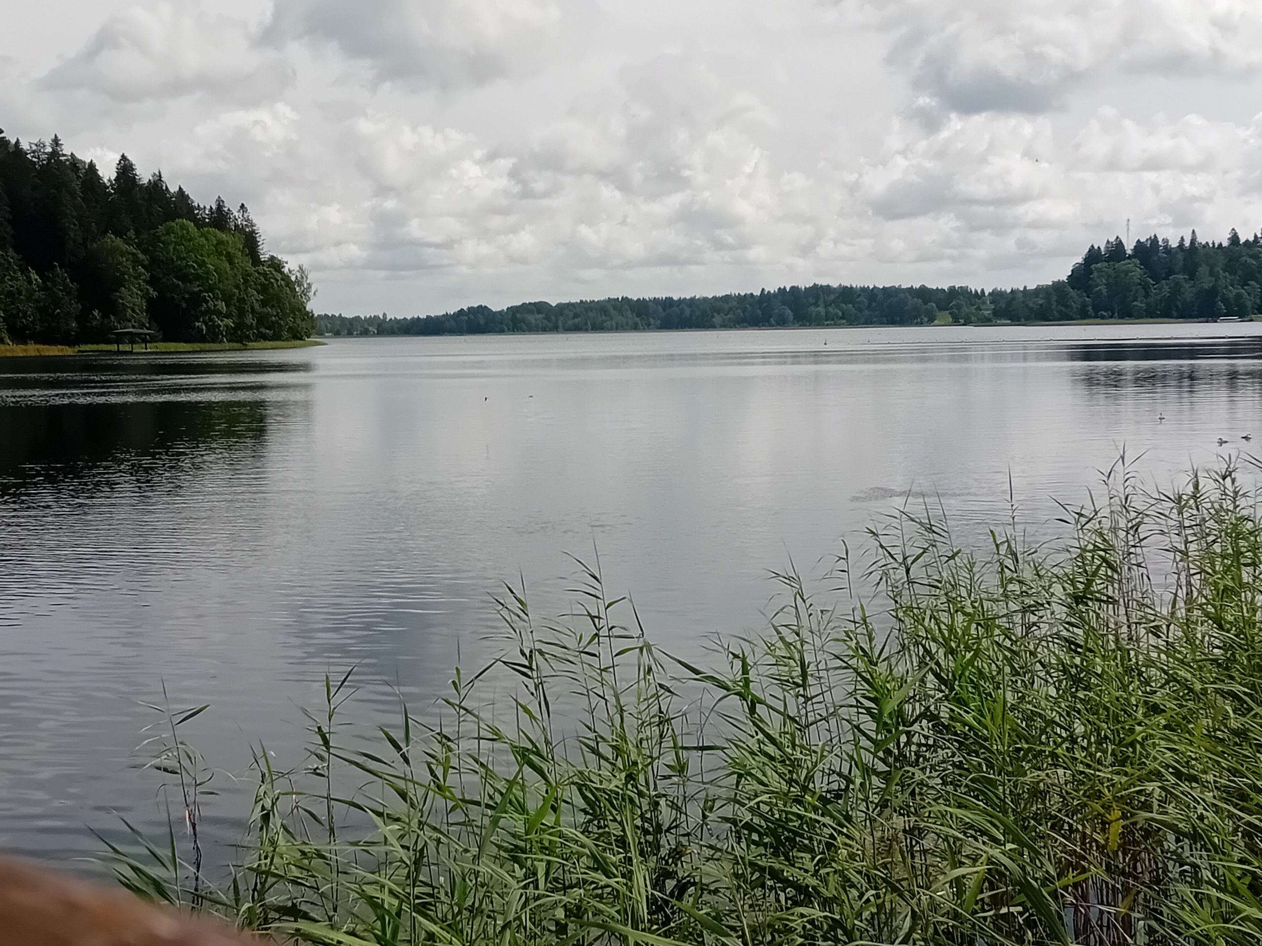 vel cetri vidzemes ezeri atziti par pietiekami pieejamiem cilvekiem ar invaliditati senioriem un gimenem ar maziem berniem