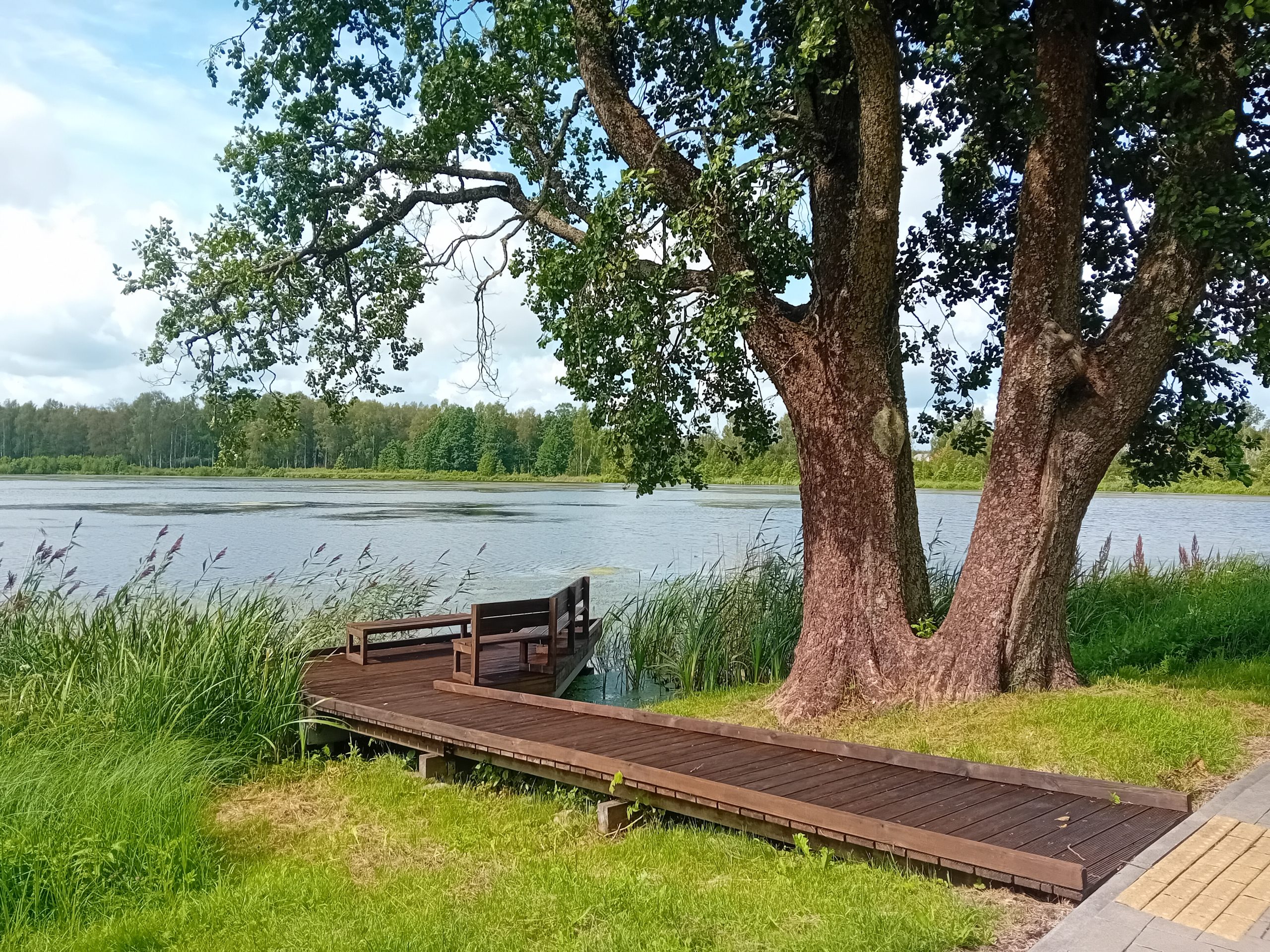 vel cetri vidzemes ezeri atziti par pietiekami pieejamiem cilvekiem ar invaliditati senioriem un gimenem ar maziem berniem