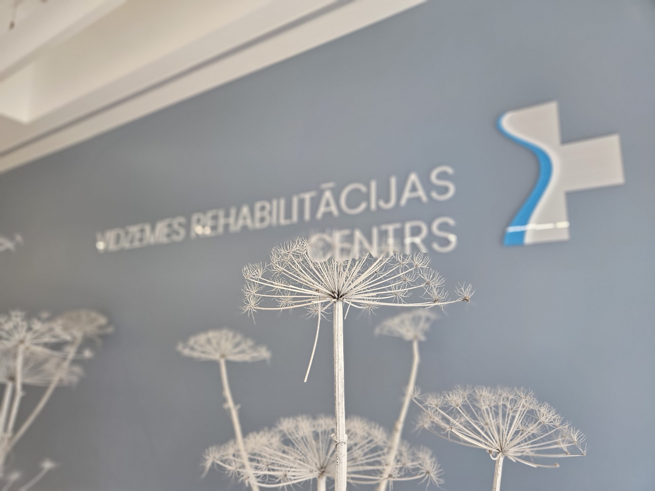 vidzemes slimnica notika projekta techsocialcare pirma iesaistito pusu sanaksme