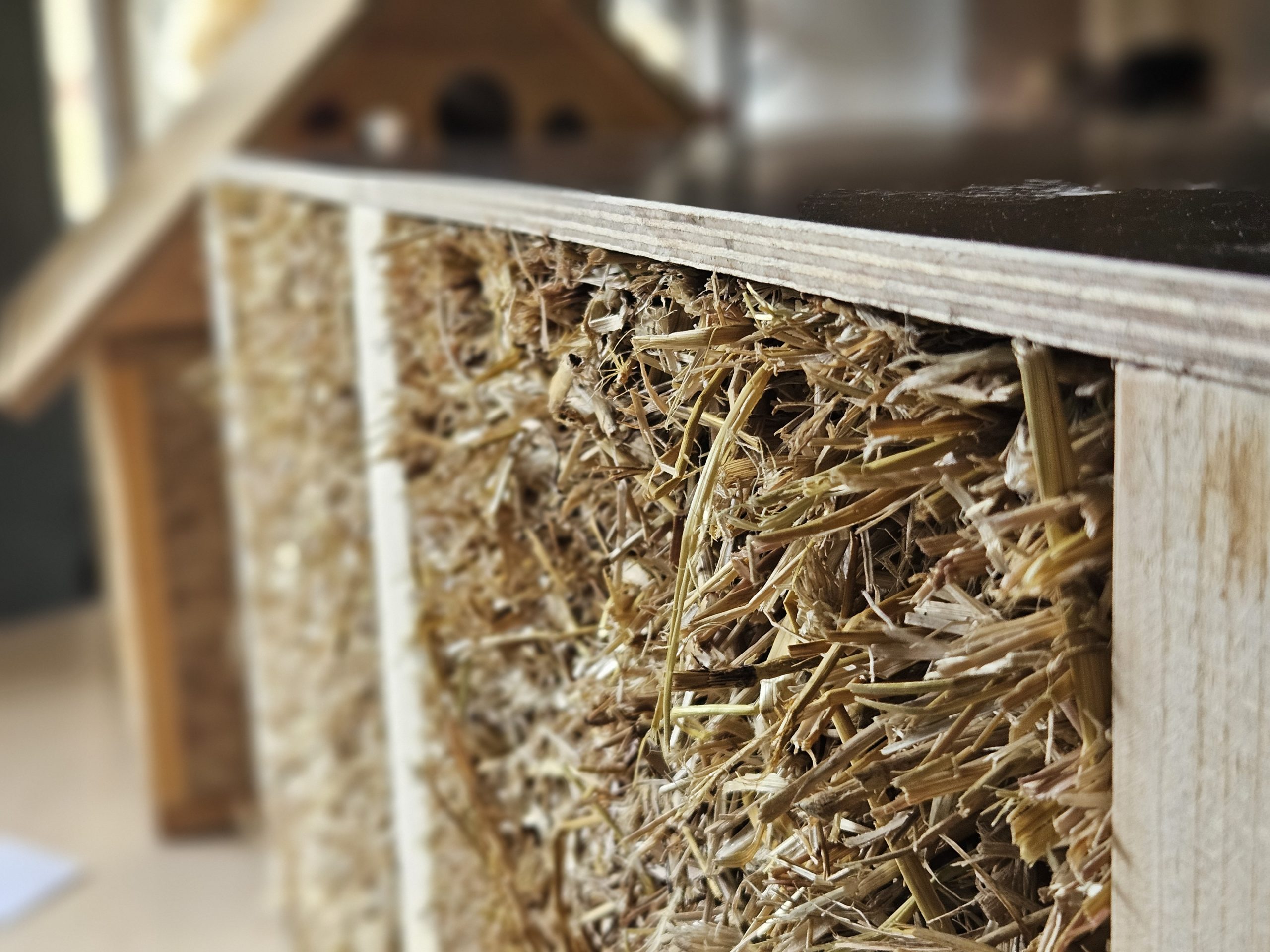 projekts abc apvieno buvniecibas profesionalus diskusijas par ilgtspejigas nozares nakotni