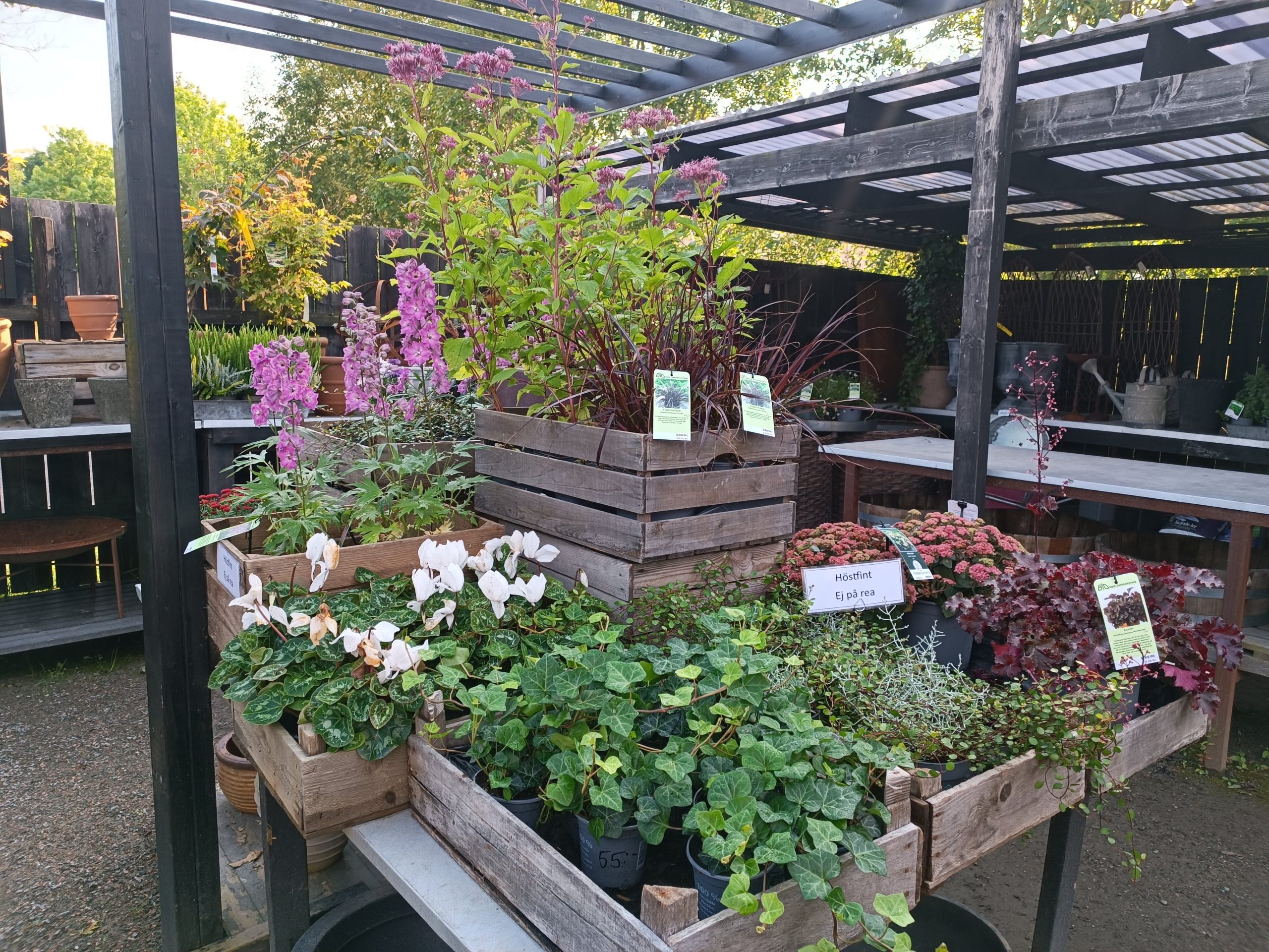 restorani no vidzemes atklaj zviedrijas ilgtspejigas gastronomijas stastu