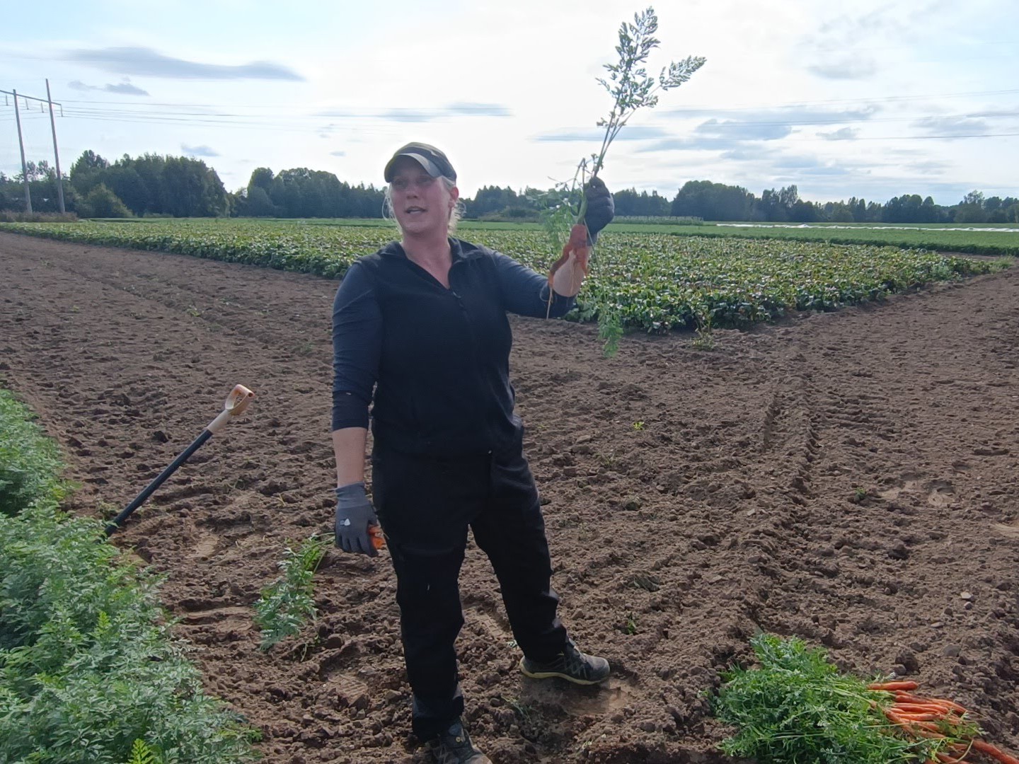 restorani no vidzemes atklaj zviedrijas ilgtspejigas gastronomijas stastu