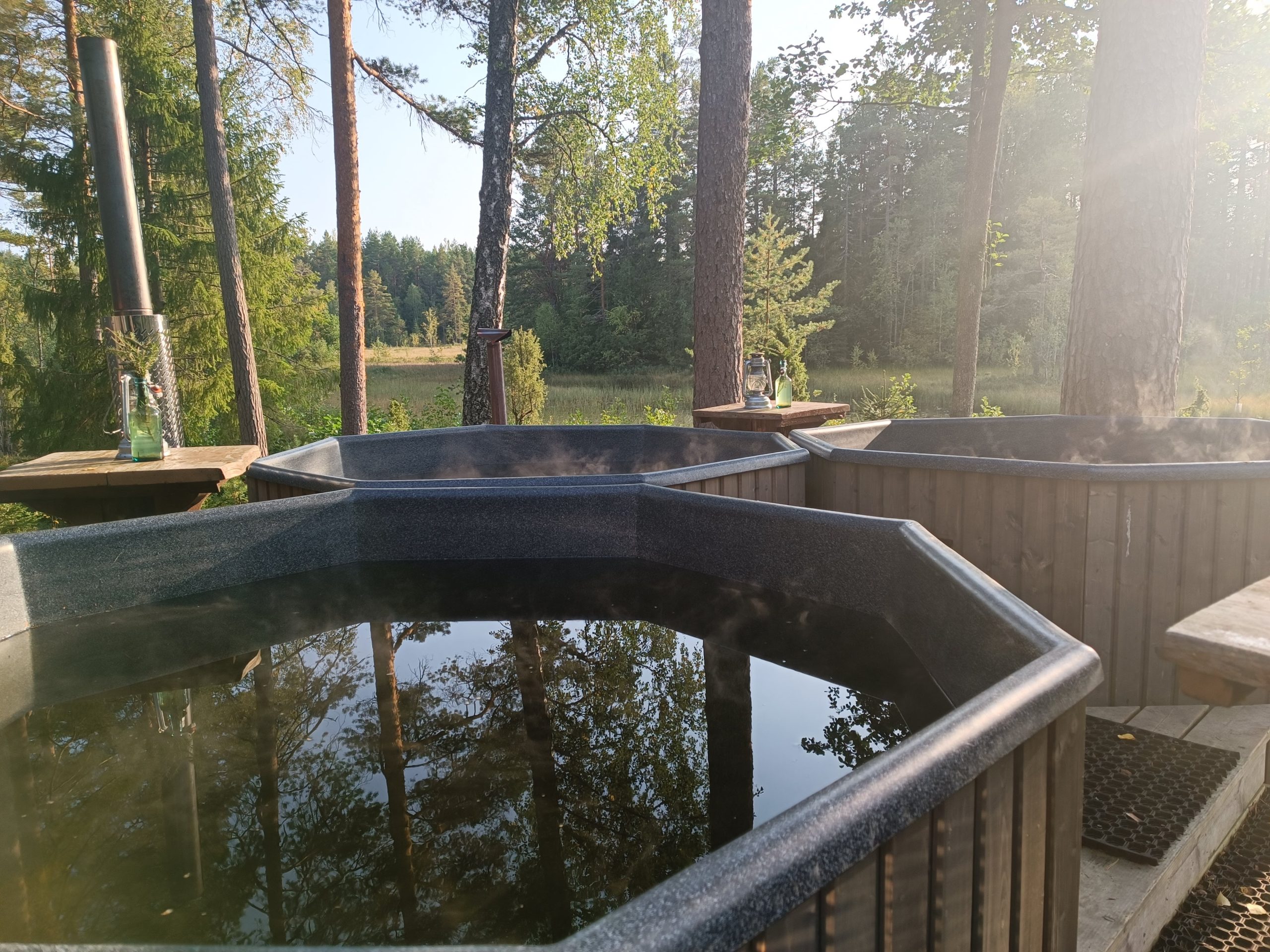 restorani no vidzemes atklaj zviedrijas ilgtspejigas gastronomijas stastu