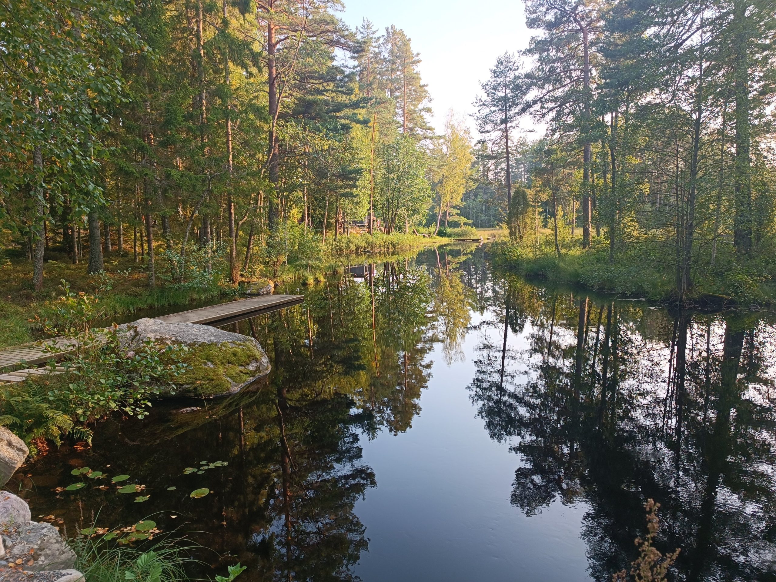 restorani no vidzemes atklaj zviedrijas ilgtspejigas gastronomijas stastu