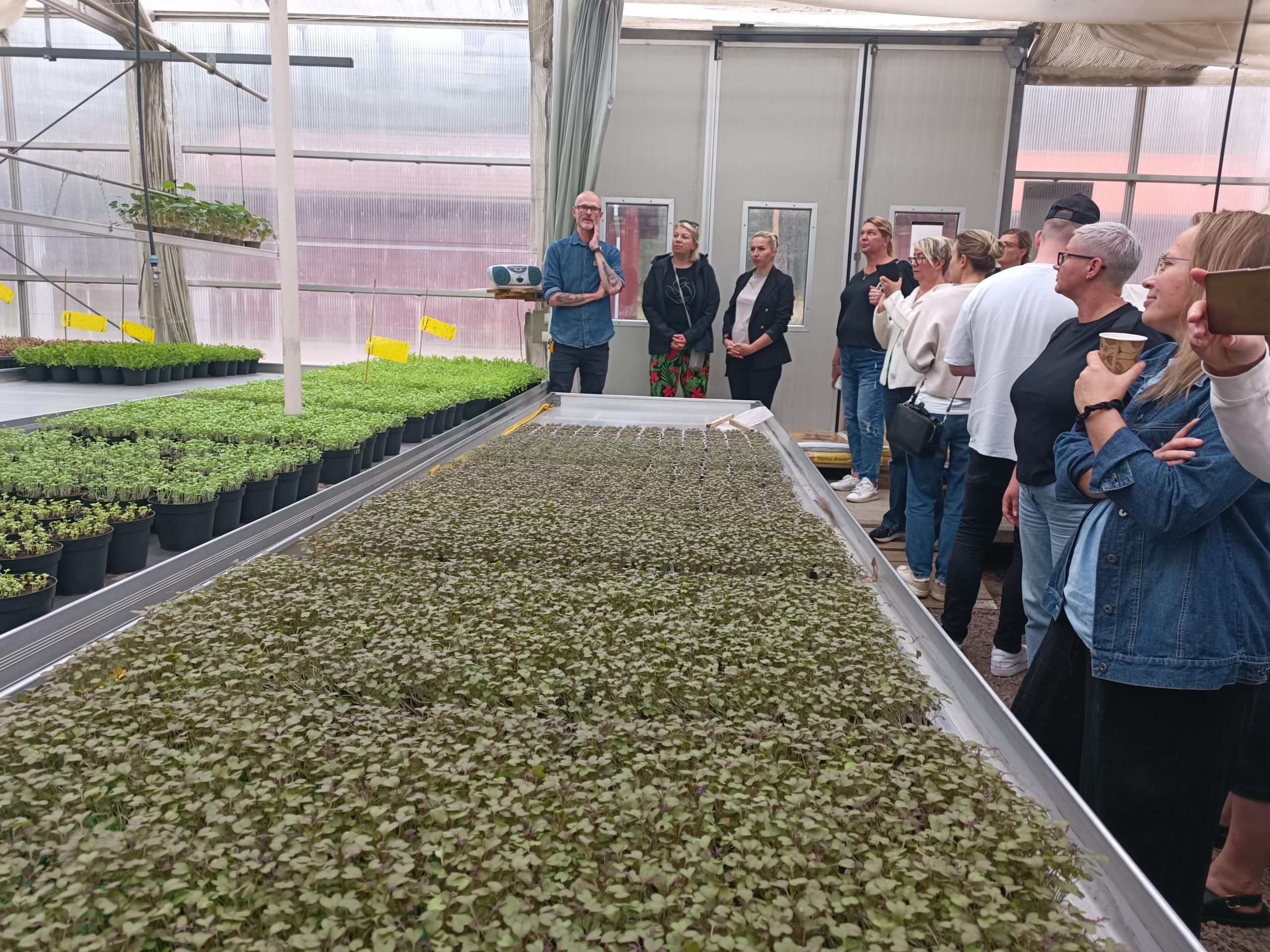 restorani no vidzemes atklaj zviedrijas ilgtspejigas gastronomijas stastu