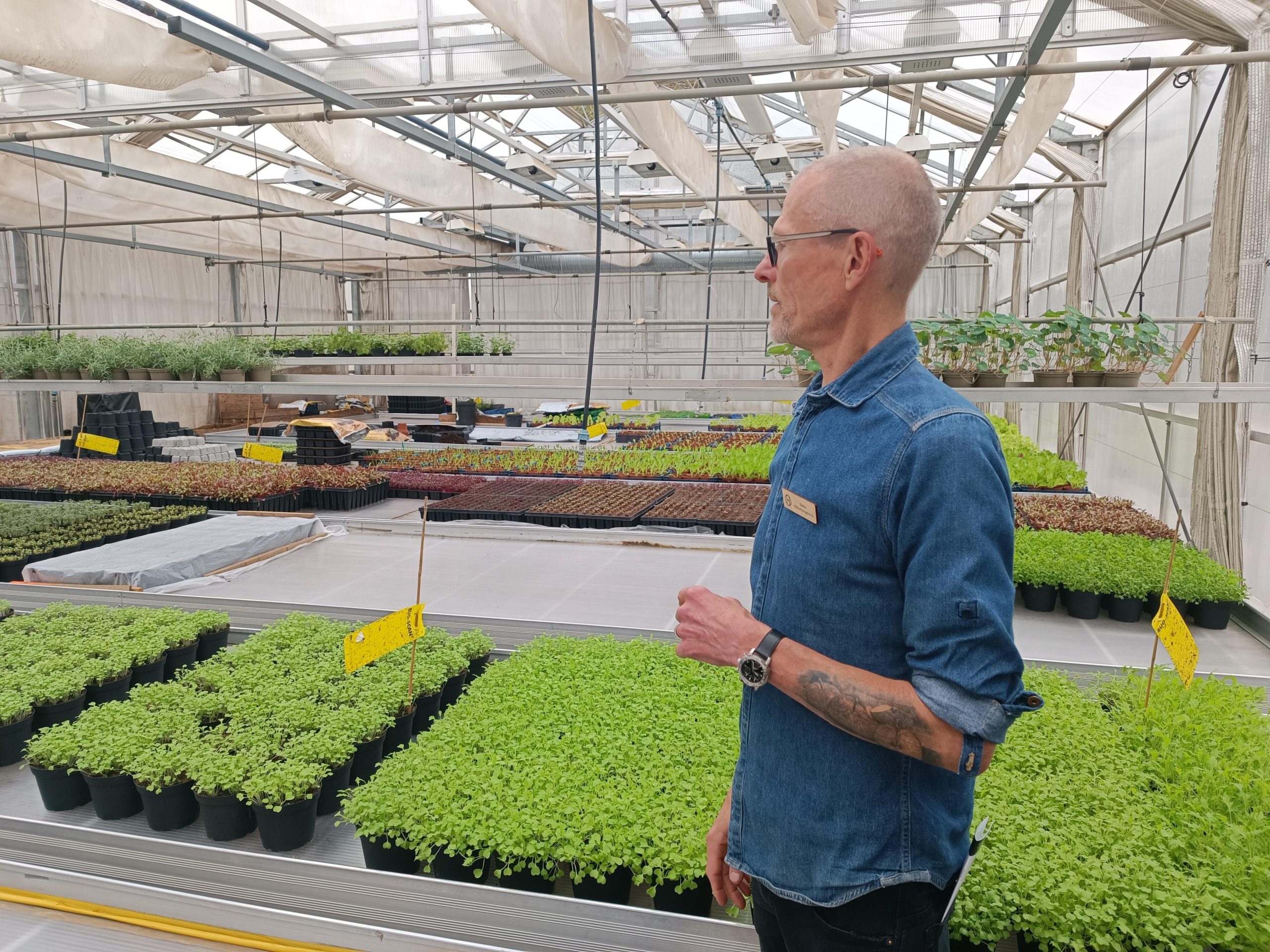 restorani no vidzemes atklaj zviedrijas ilgtspejigas gastronomijas stastu