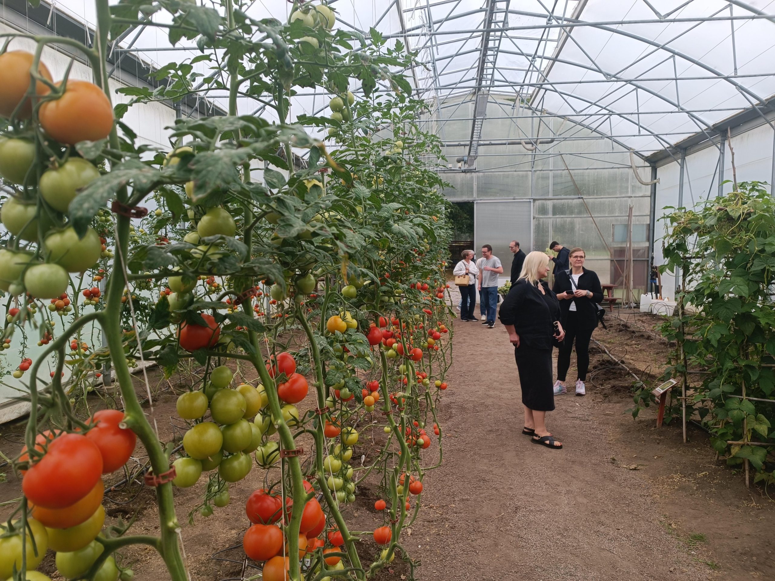 restorani no vidzemes atklaj zviedrijas ilgtspejigas gastronomijas stastu