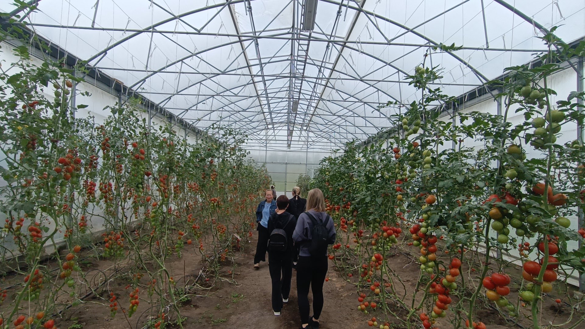 restorani no vidzemes atklaj zviedrijas ilgtspejigas gastronomijas stastu