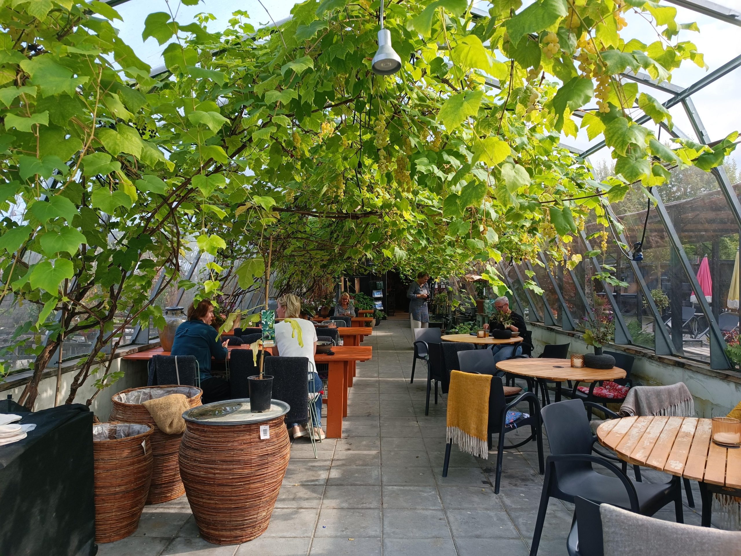 restorani no vidzemes atklaj zviedrijas ilgtspejigas gastronomijas stastu