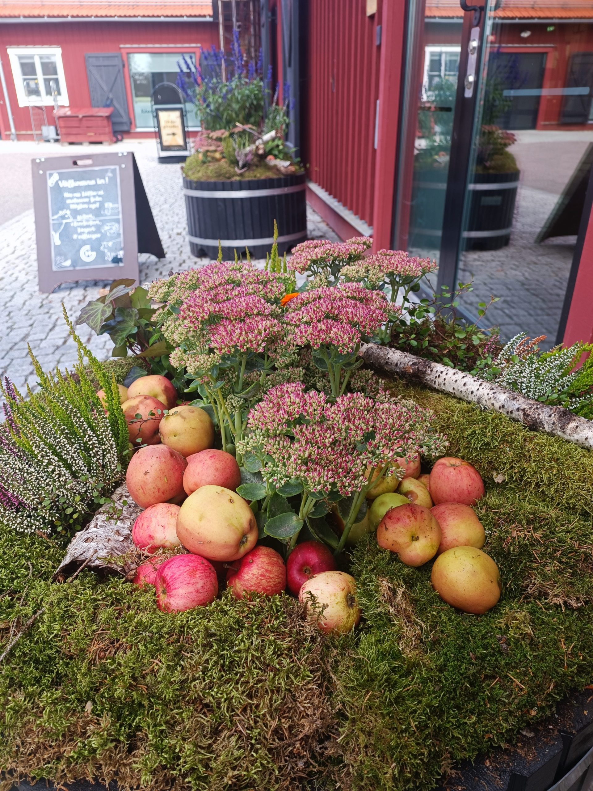 restorani no vidzemes atklaj zviedrijas ilgtspejigas gastronomijas stastu