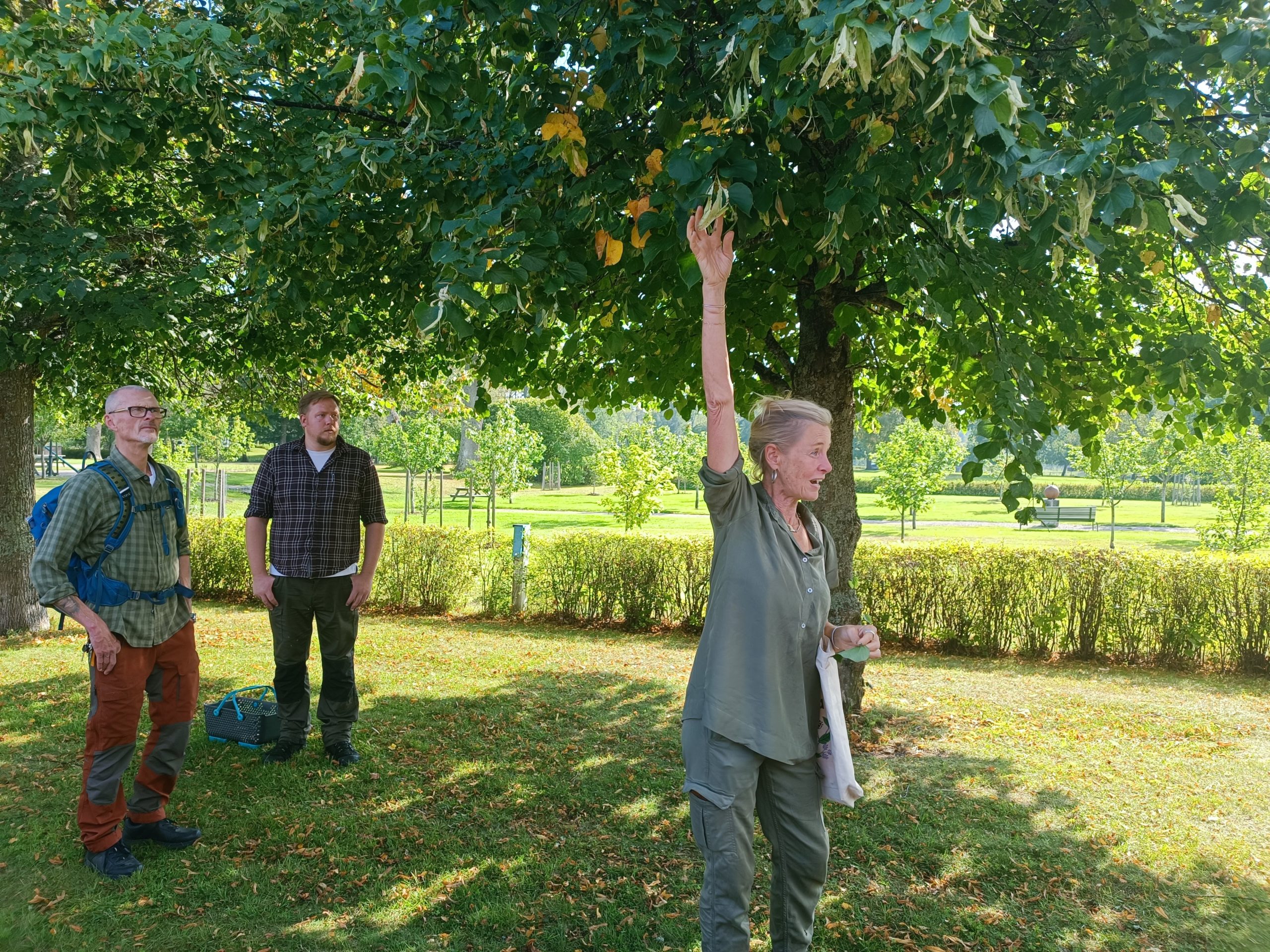 restorani no vidzemes atklaj zviedrijas ilgtspejigas gastronomijas stastu