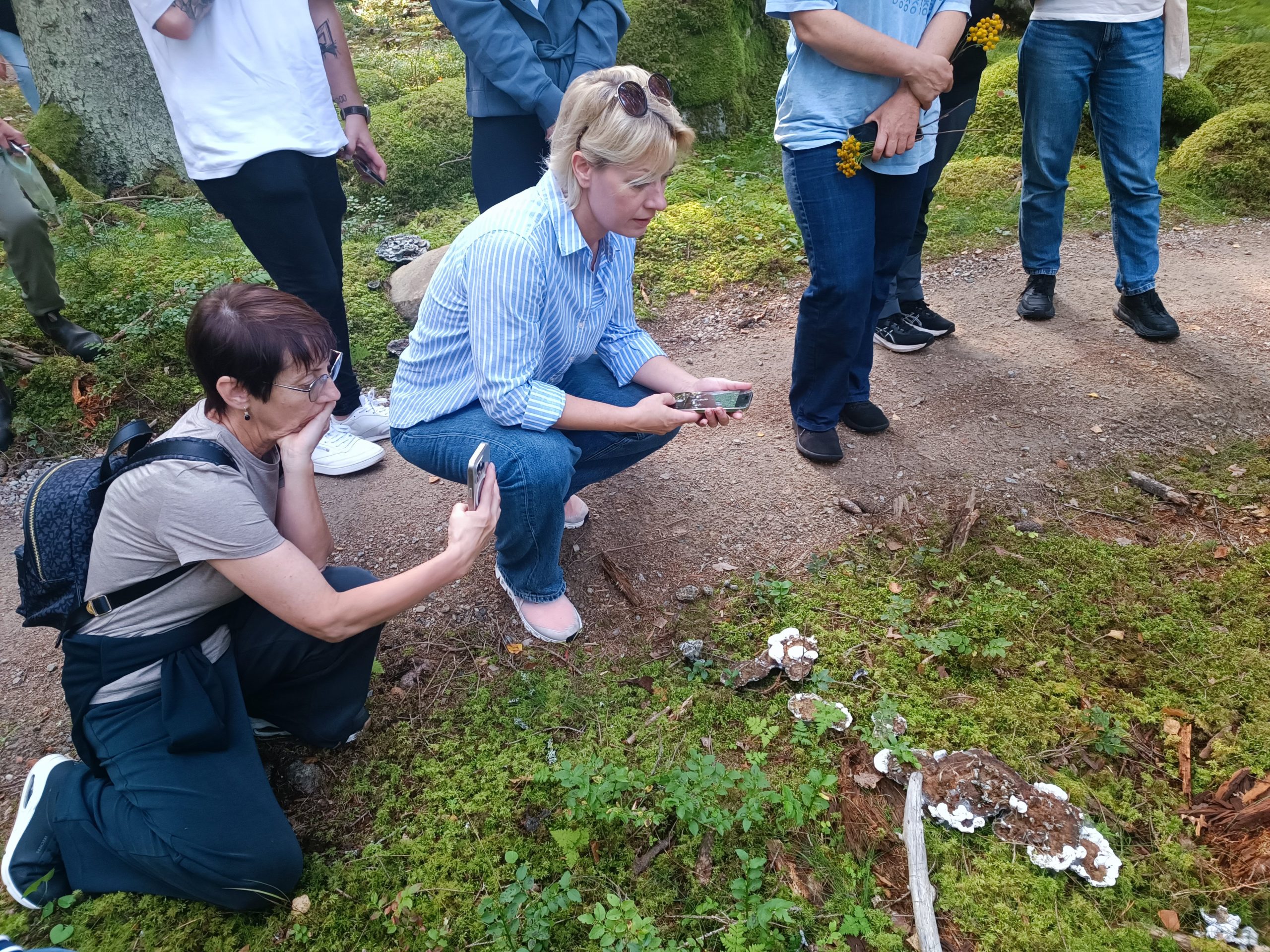 restorani no vidzemes atklaj zviedrijas ilgtspejigas gastronomijas stastu