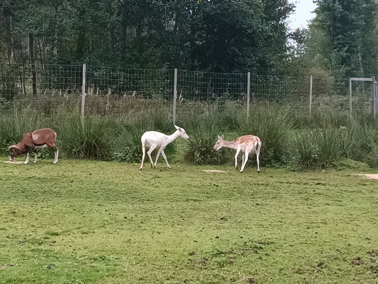 restorani no vidzemes atklaj zviedrijas ilgtspejigas gastronomijas stastu
