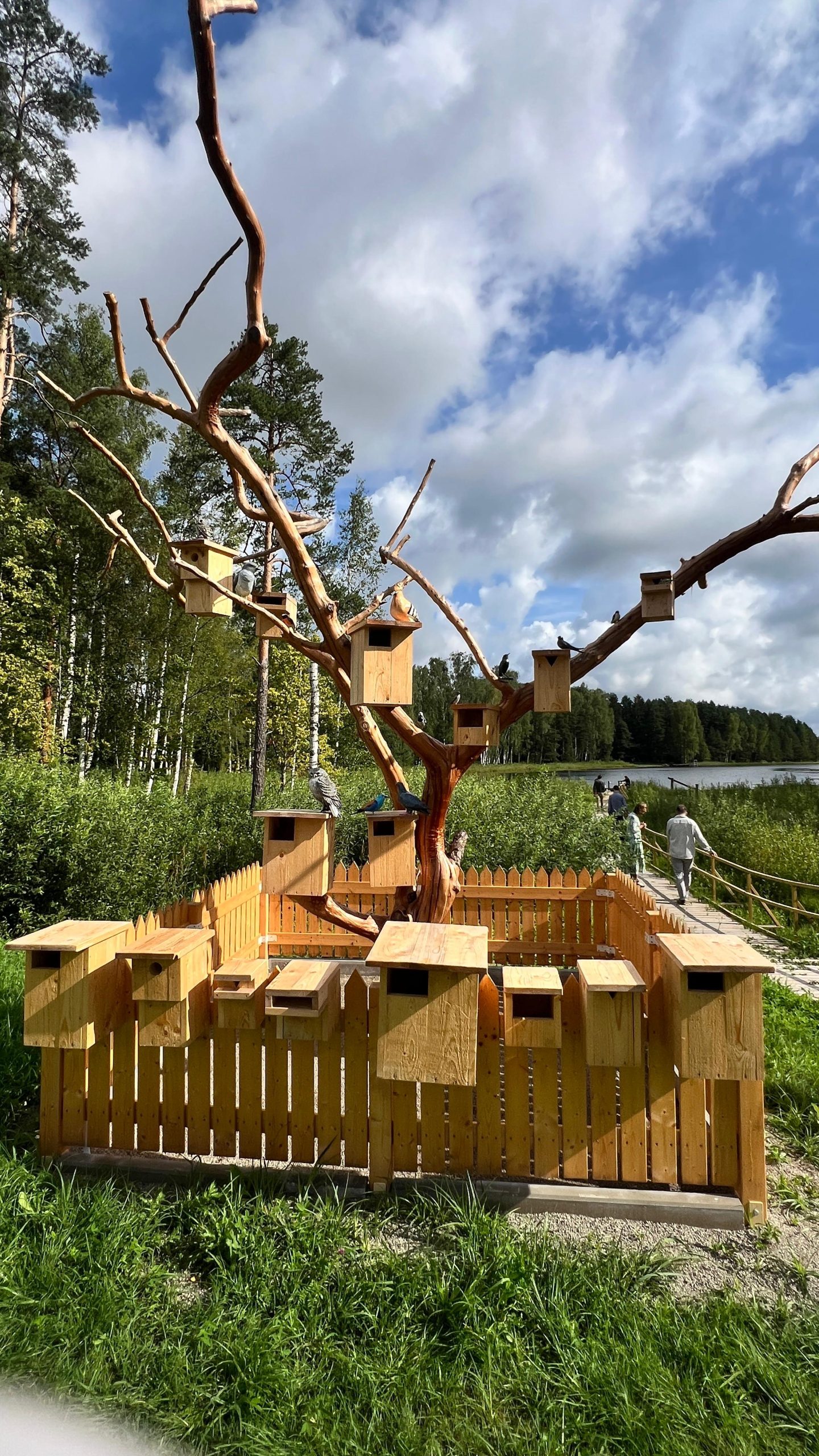 vel cetri vidzemes ezeri atziti par pietiekami pieejamiem cilvekiem ar invaliditati senioriem un gimenem ar maziem berniem