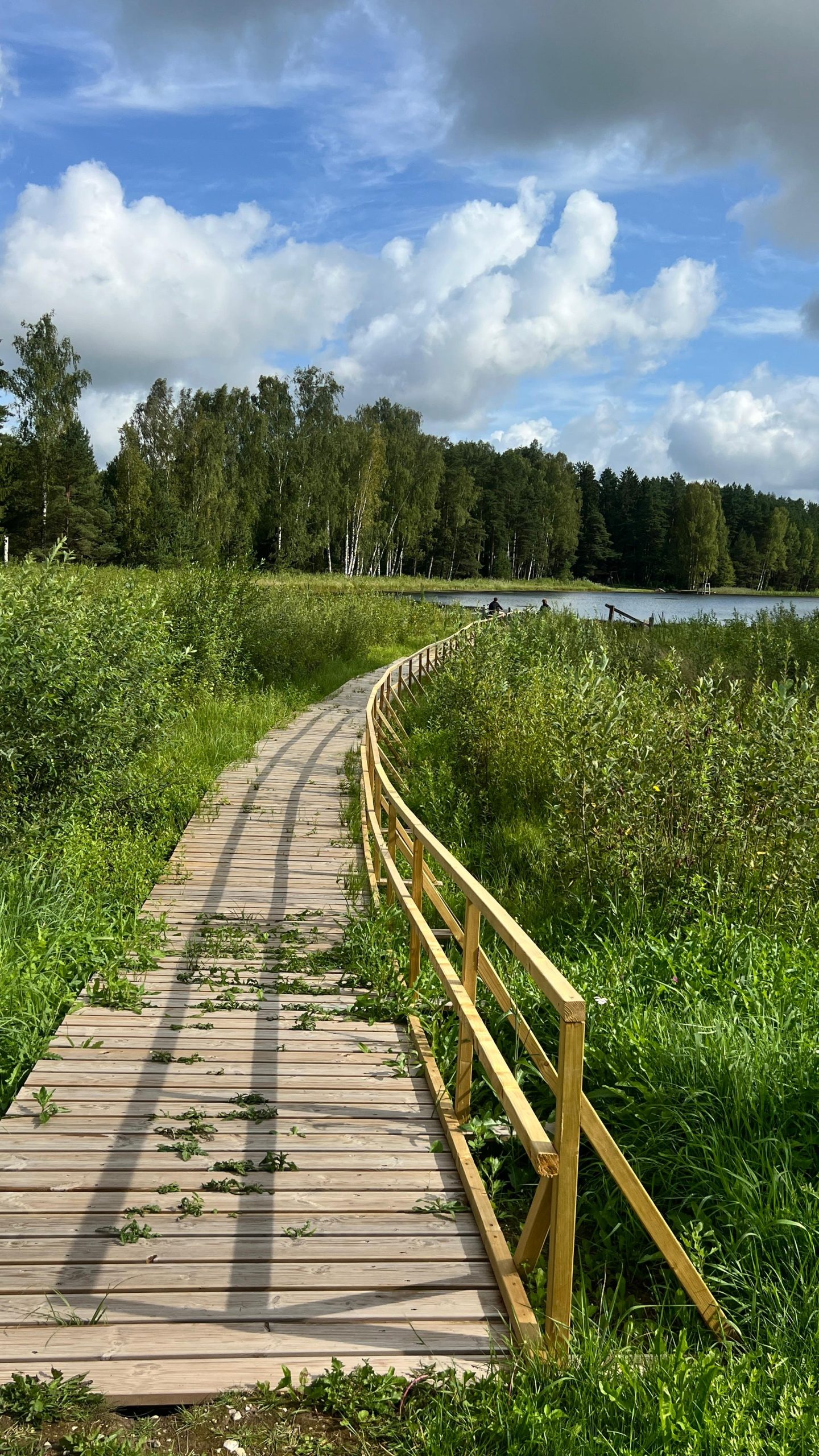 vel cetri vidzemes ezeri atziti par pietiekami pieejamiem cilvekiem ar invaliditati senioriem un gimenem ar maziem berniem