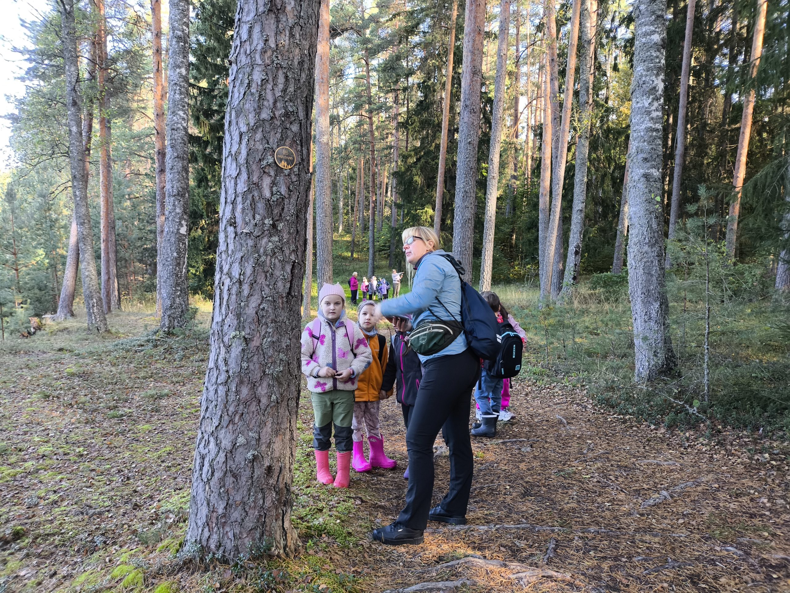 berni meztaka izmegina lokveida pargajiena marsrutu un digitali spelejamu speli
