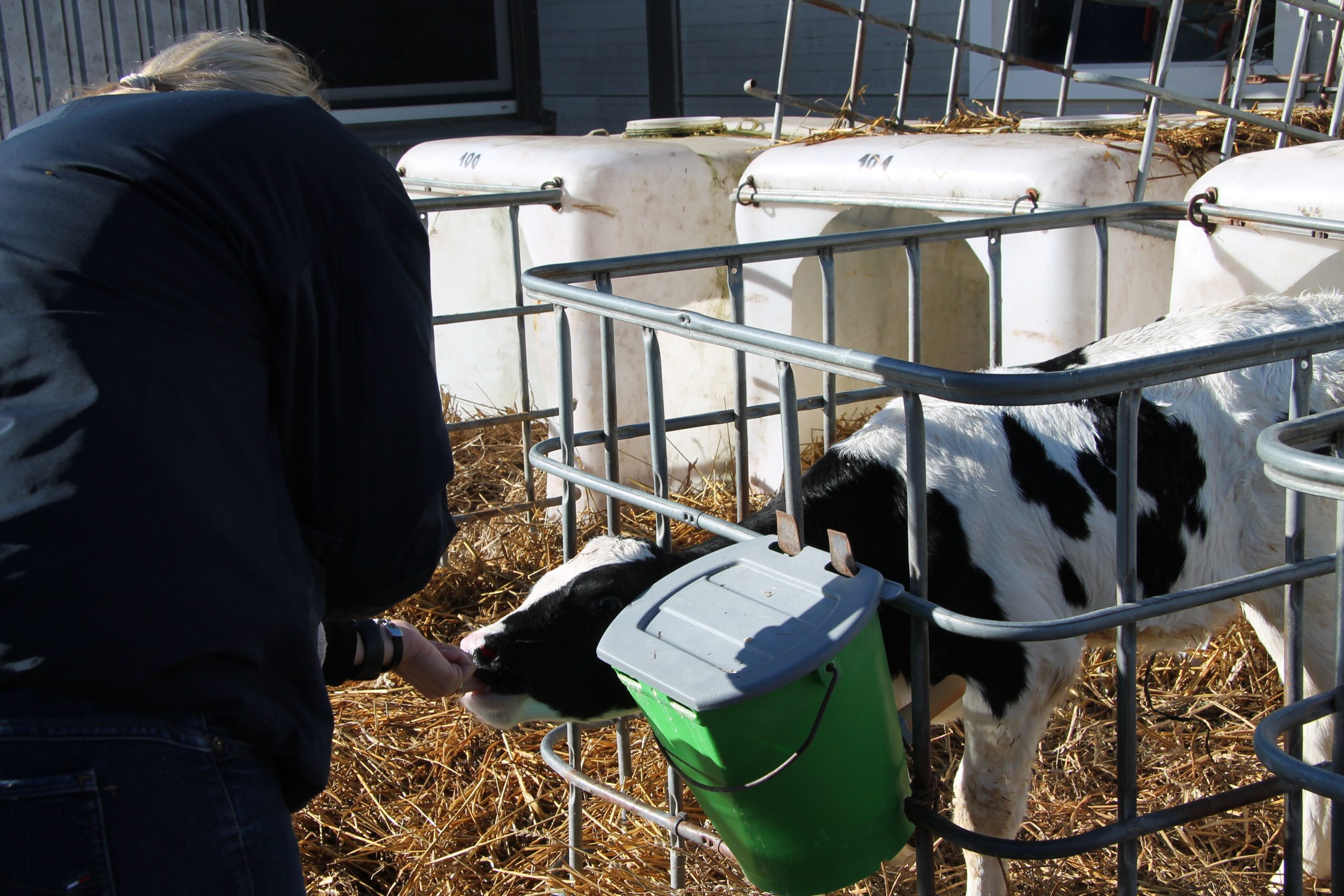 agriexcel projekta vizite vidzeme apliecina digitalizacija un sadarbiba ir cels uz ilgtspejigu un konkuretspejigu lauksaimniecibu