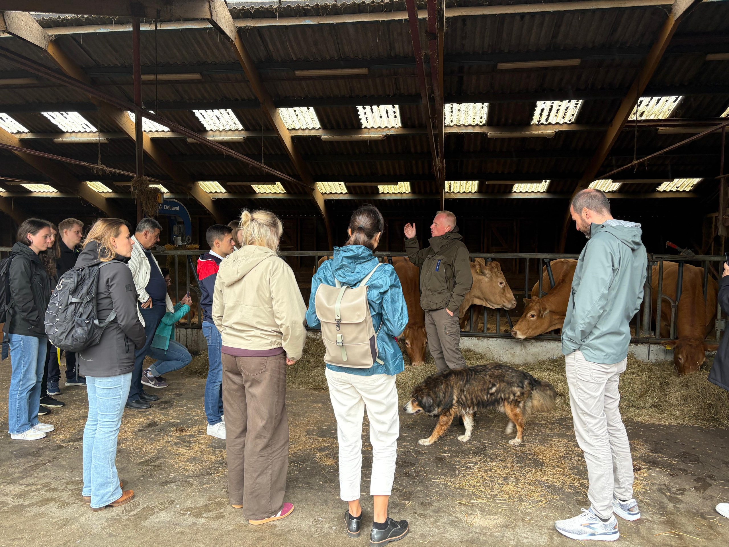 pieredze vidzemei ka niderlande apvieno dabu un tehnologijas klimata drosibai