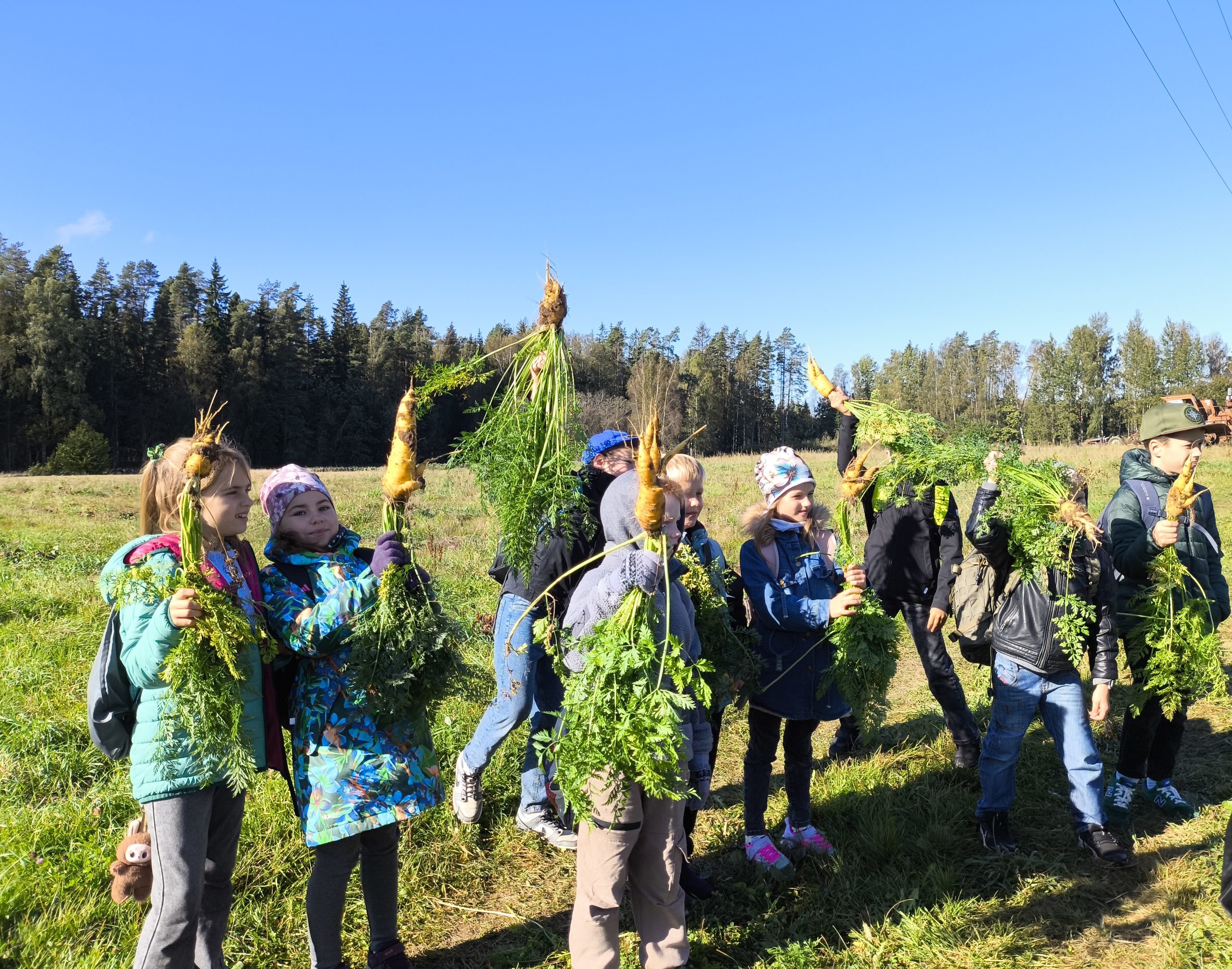 sakumskolas skoleni izzin bioregionu