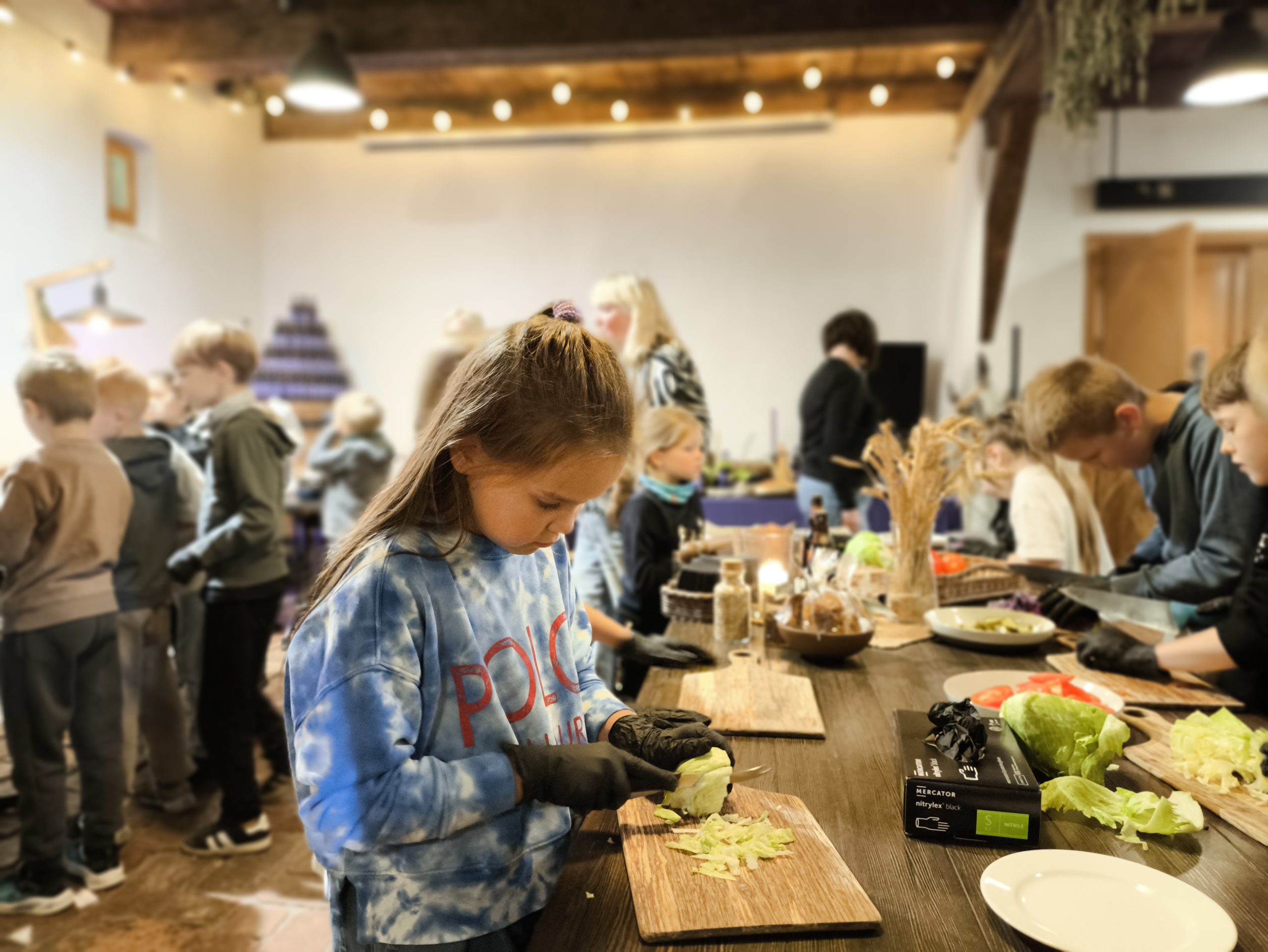sakumskolas skoleni izzin bioregionu