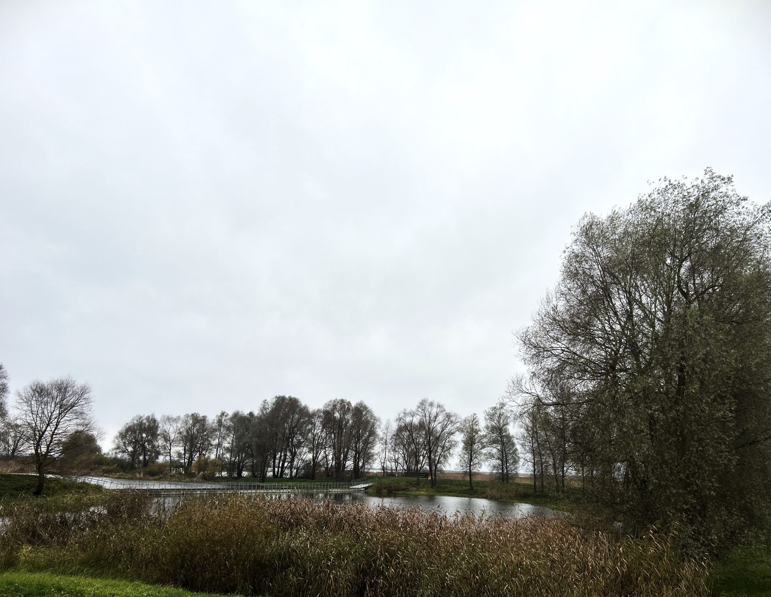 vpr mekle kopigus risinajumus regiona noturibai pret pludiem