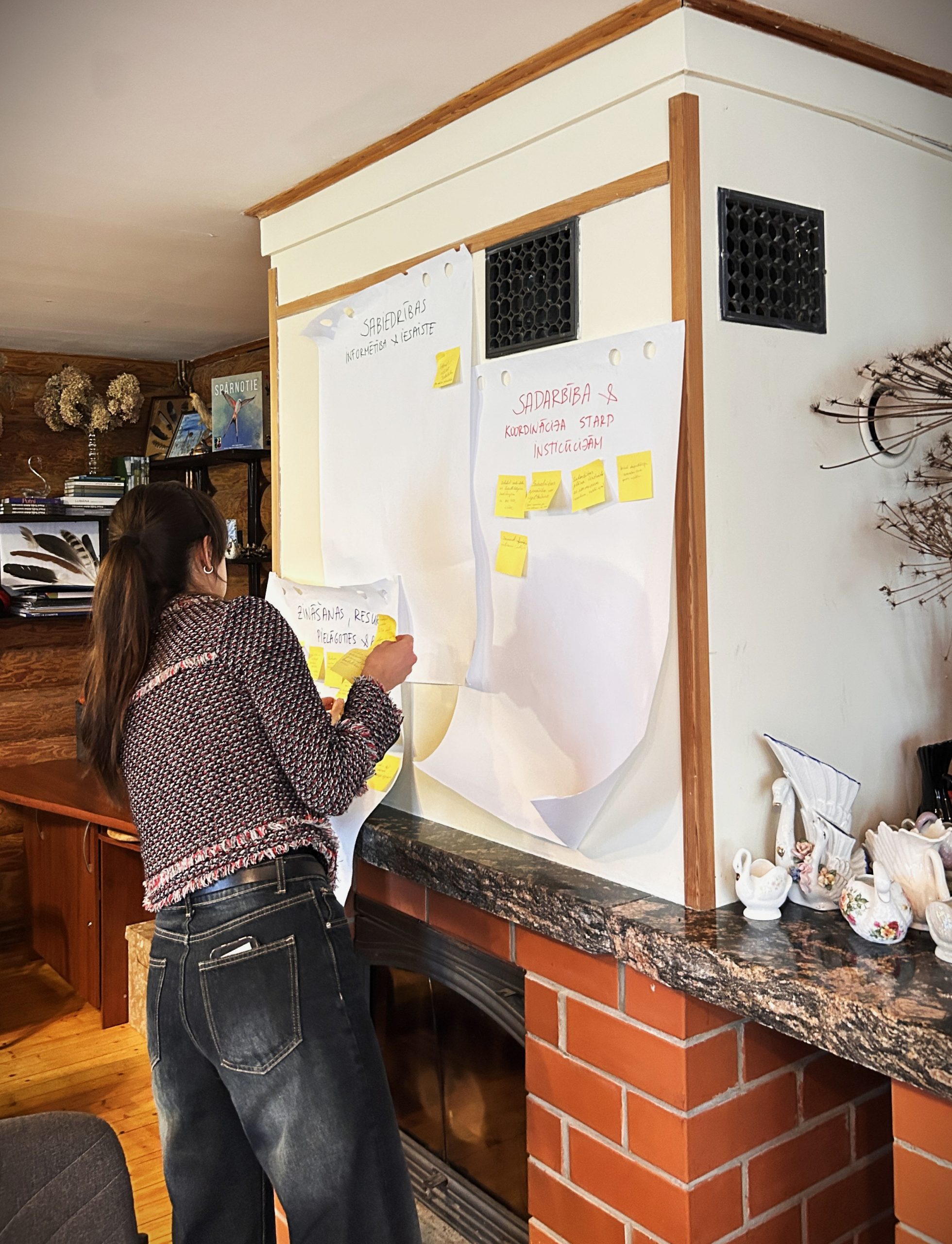 vpr mekle kopigus risinajumus regiona noturibai pret pludiem