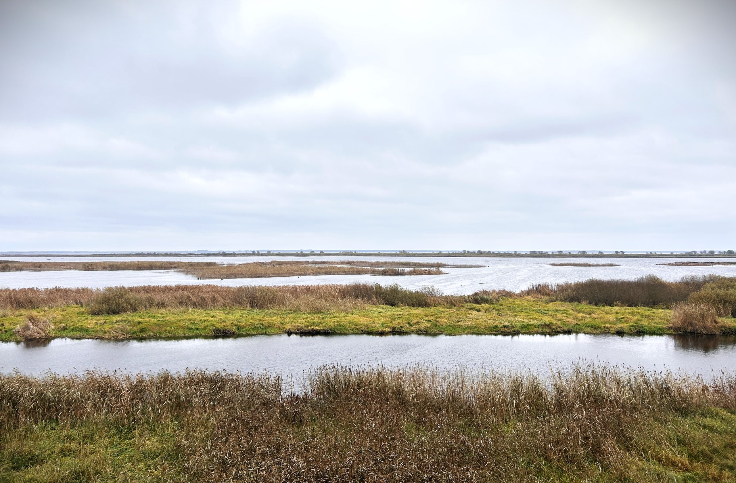 vpr mekle kopigus risinajumus regiona noturibai pret pludiem