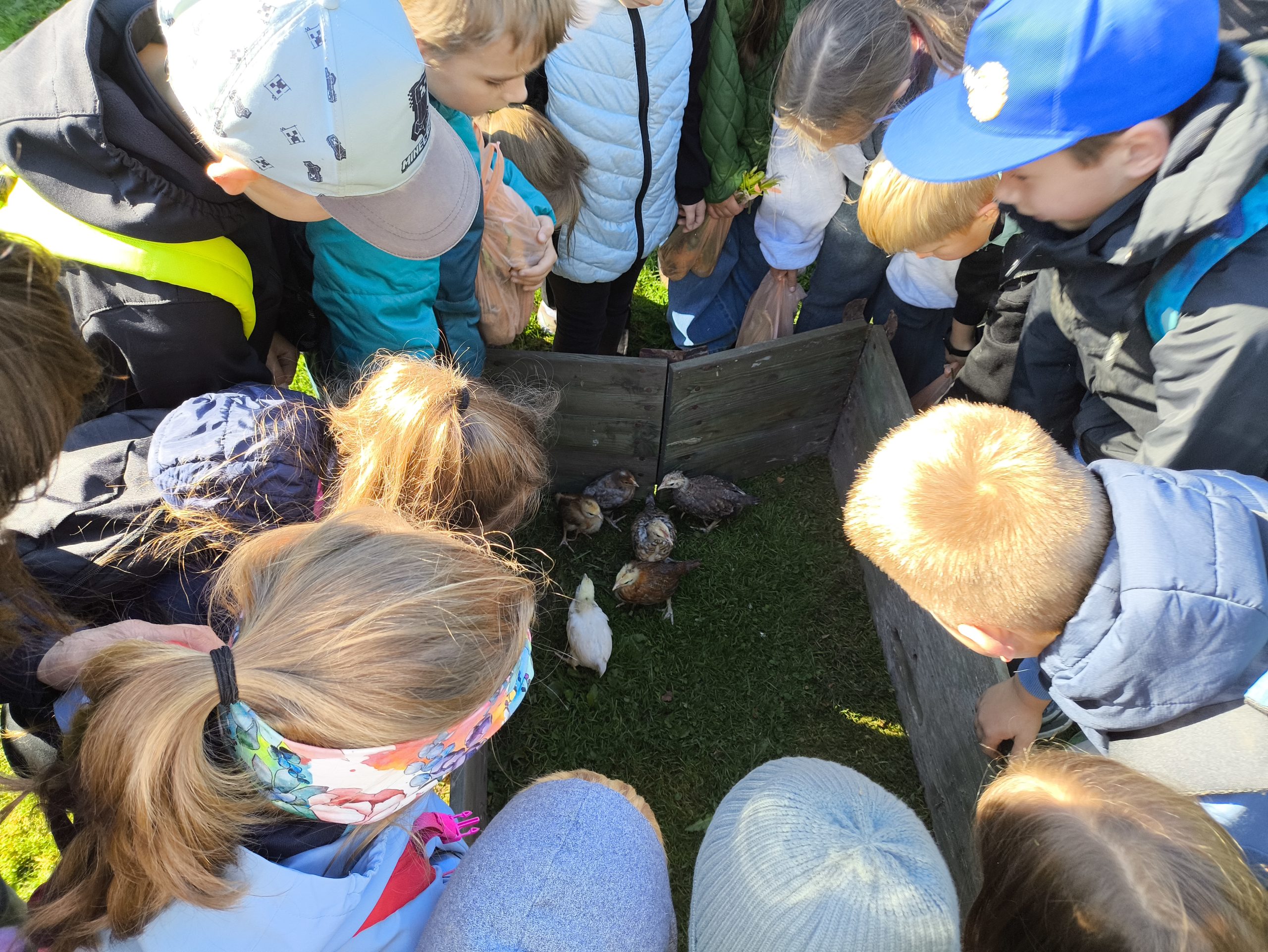 sakumskolas skoleni izzin bioregionu