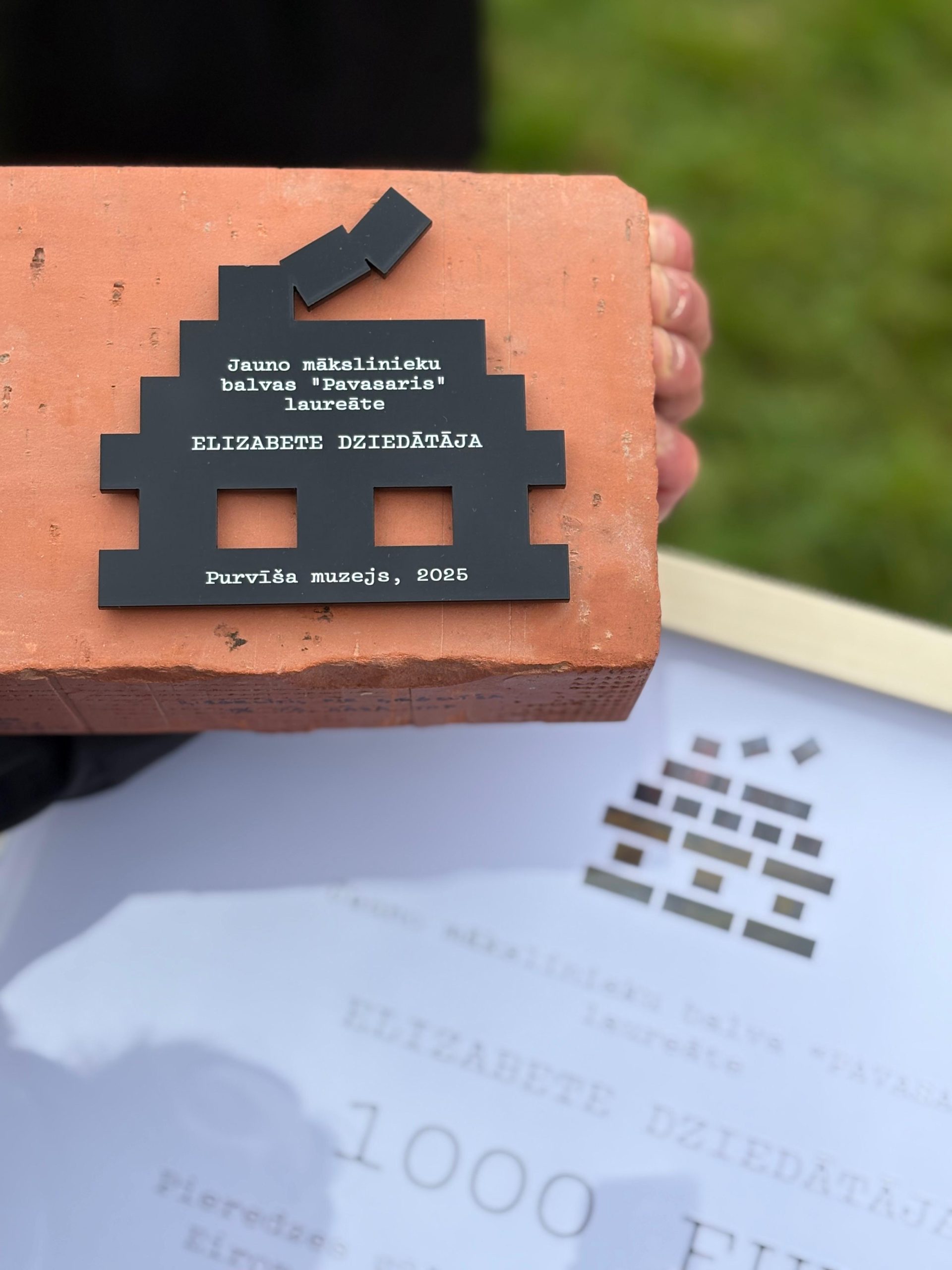 noskaidrota jauno makslinieku balvas pavasaris 2025 laureate elizabete dziedataja