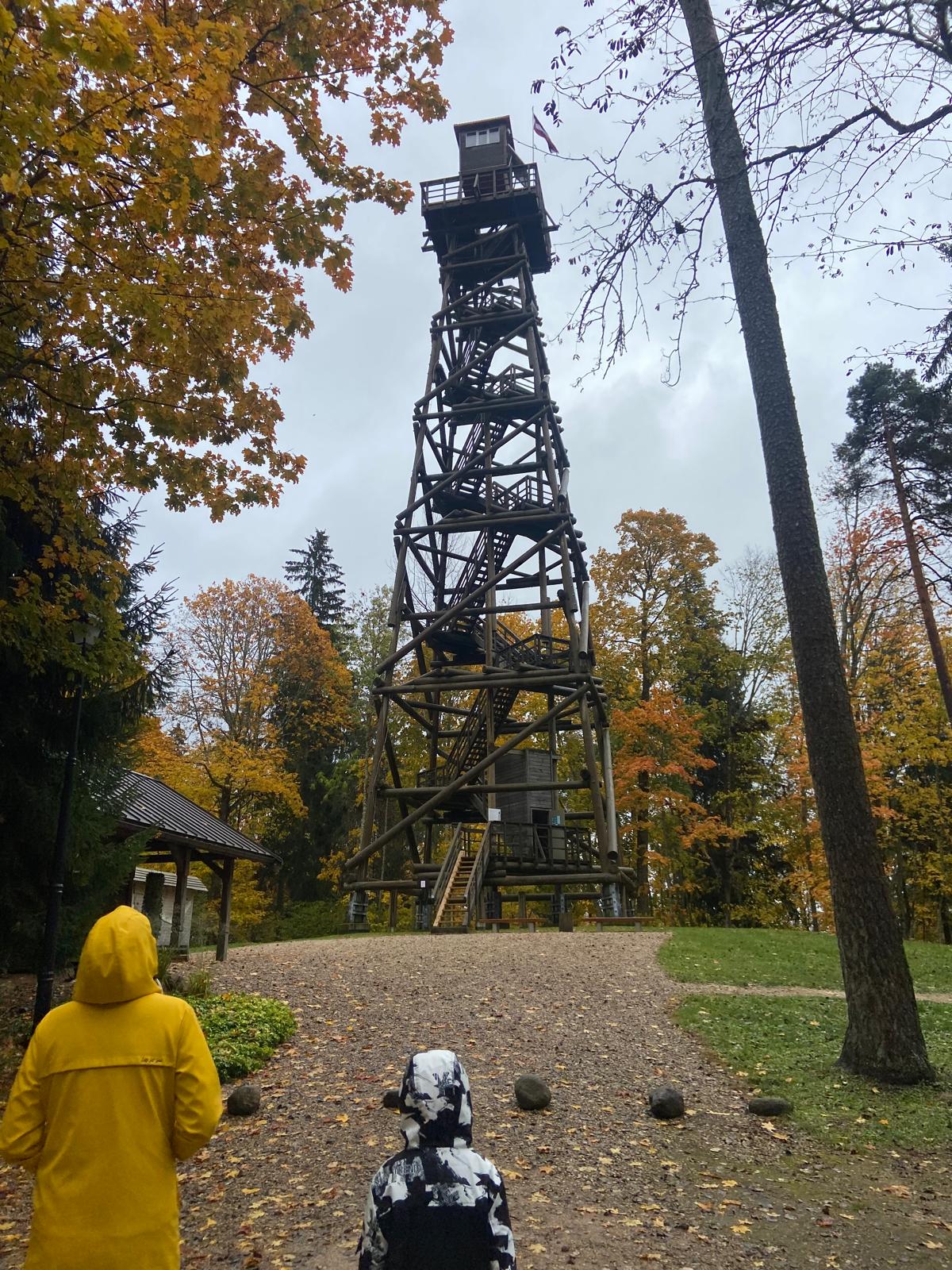 rudeniga satiksanas aluksne remigrantu tiklosanas pargajiens manas majas vidzeme