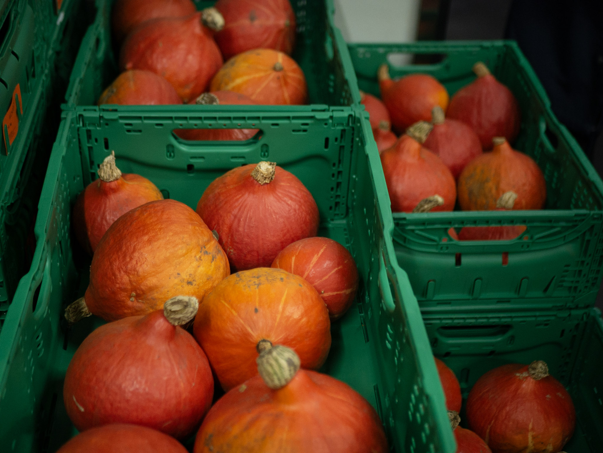 vidzemnieki iepazist bremenes pieredzi biologiskas partikas izmantosana skolas
