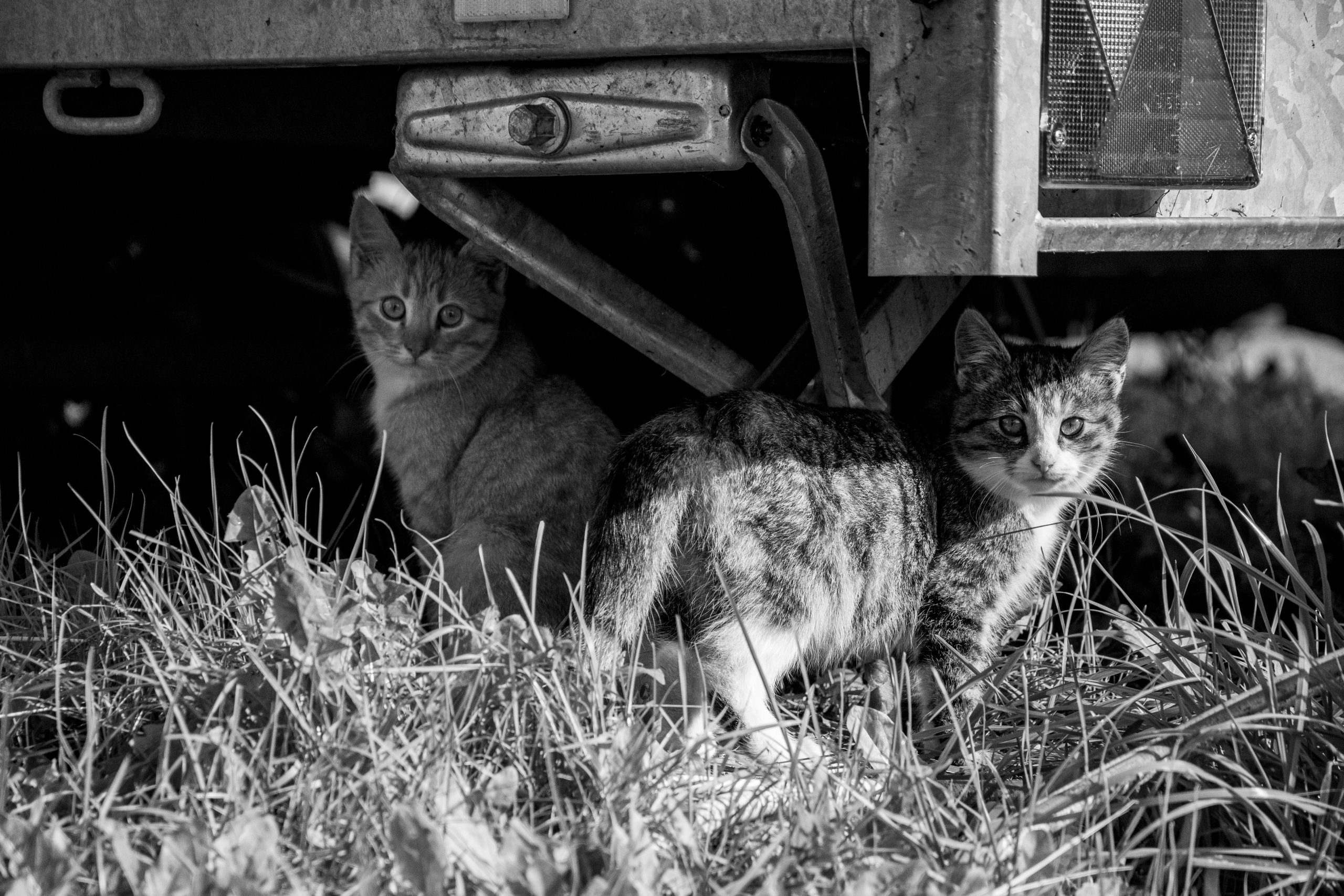 izstade pastkartes no pierobezas rujiena no 25 novembra vestis ipiku vilpulkas un meisakilas apkaimes iedzivotaju stastus