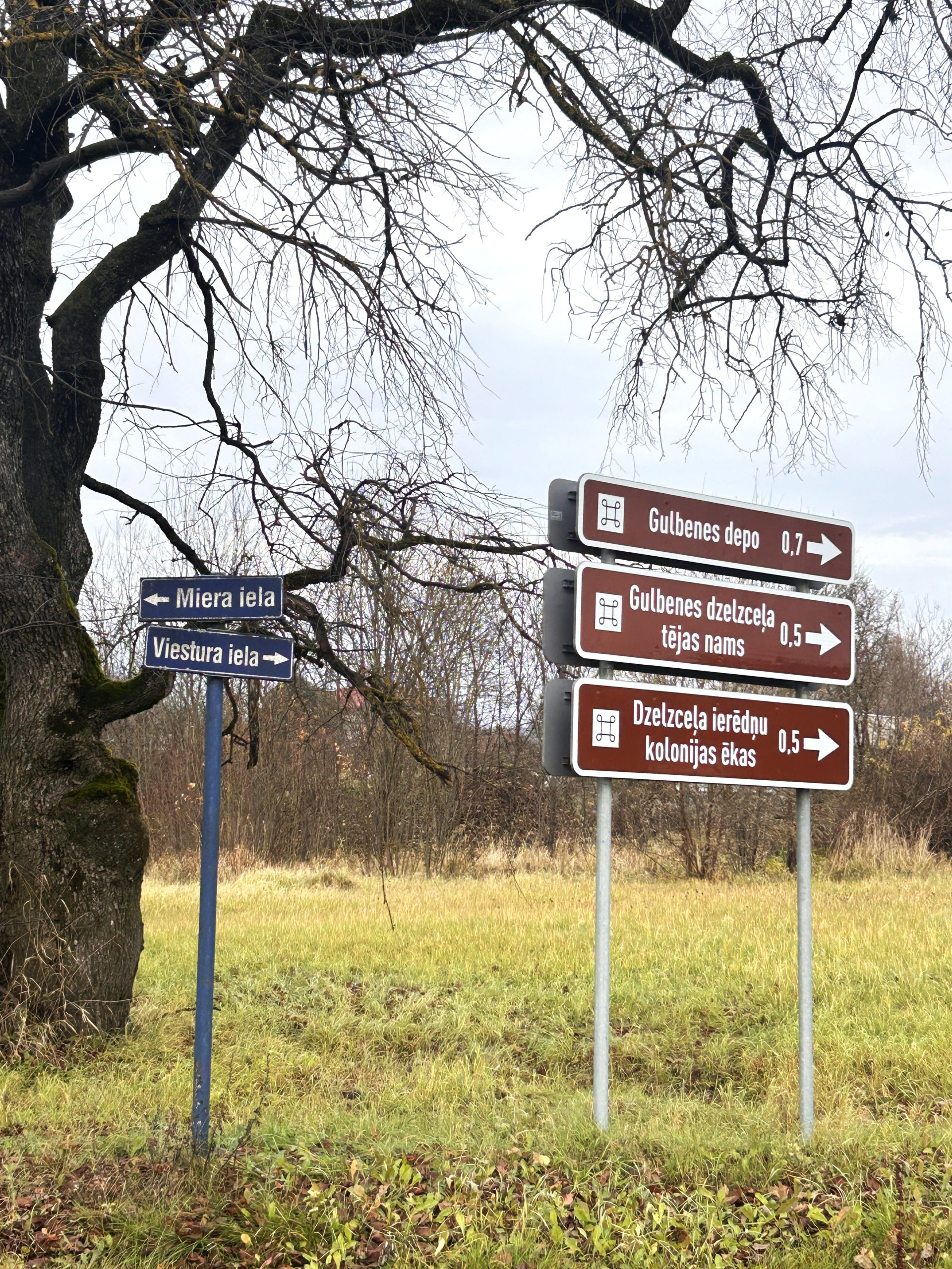 gulbene diskute par kulturvesturiska mantojuma lomu un vietrades nozimi