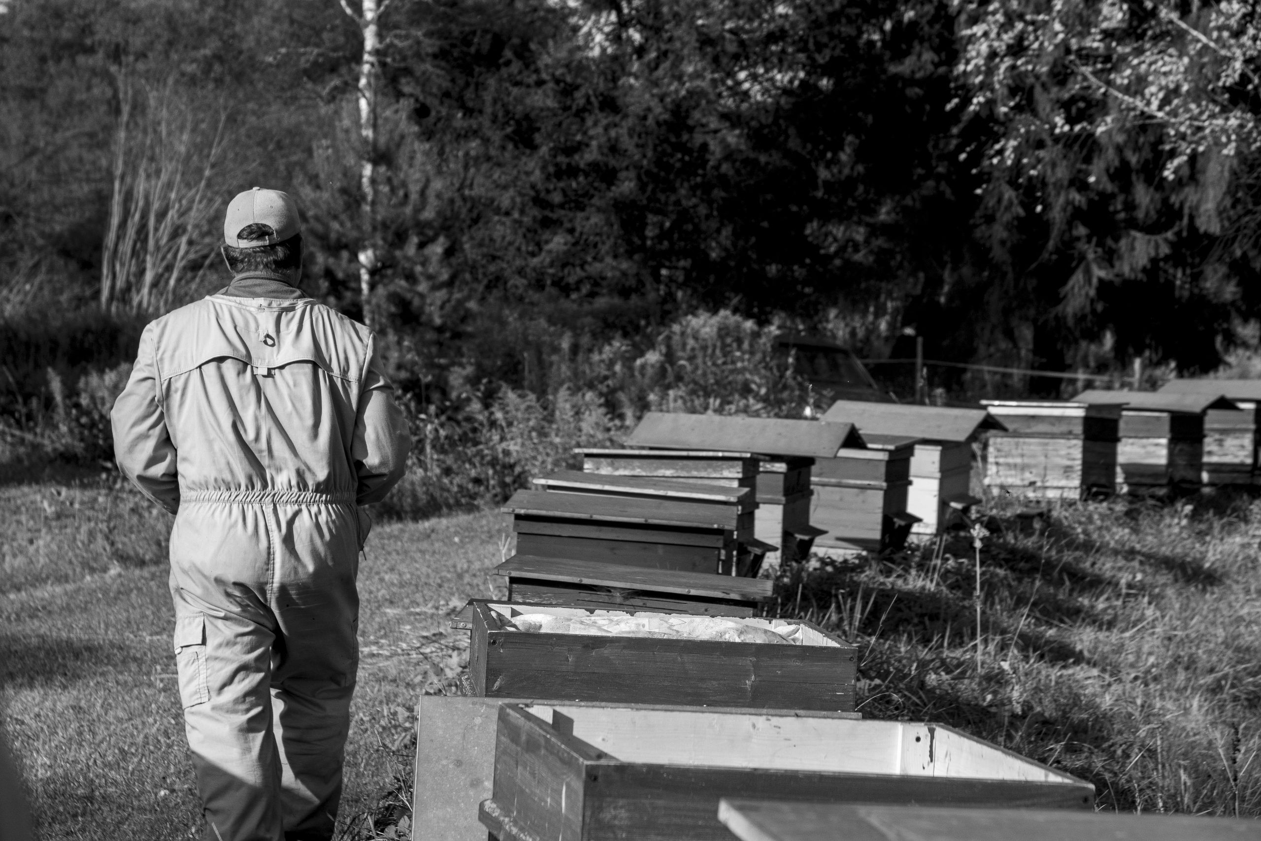 izstade pastkartes no pierobezas rujiena no 25 novembra vestis ipiku vilpulkas un meisakilas apkaimes iedzivotaju stastus