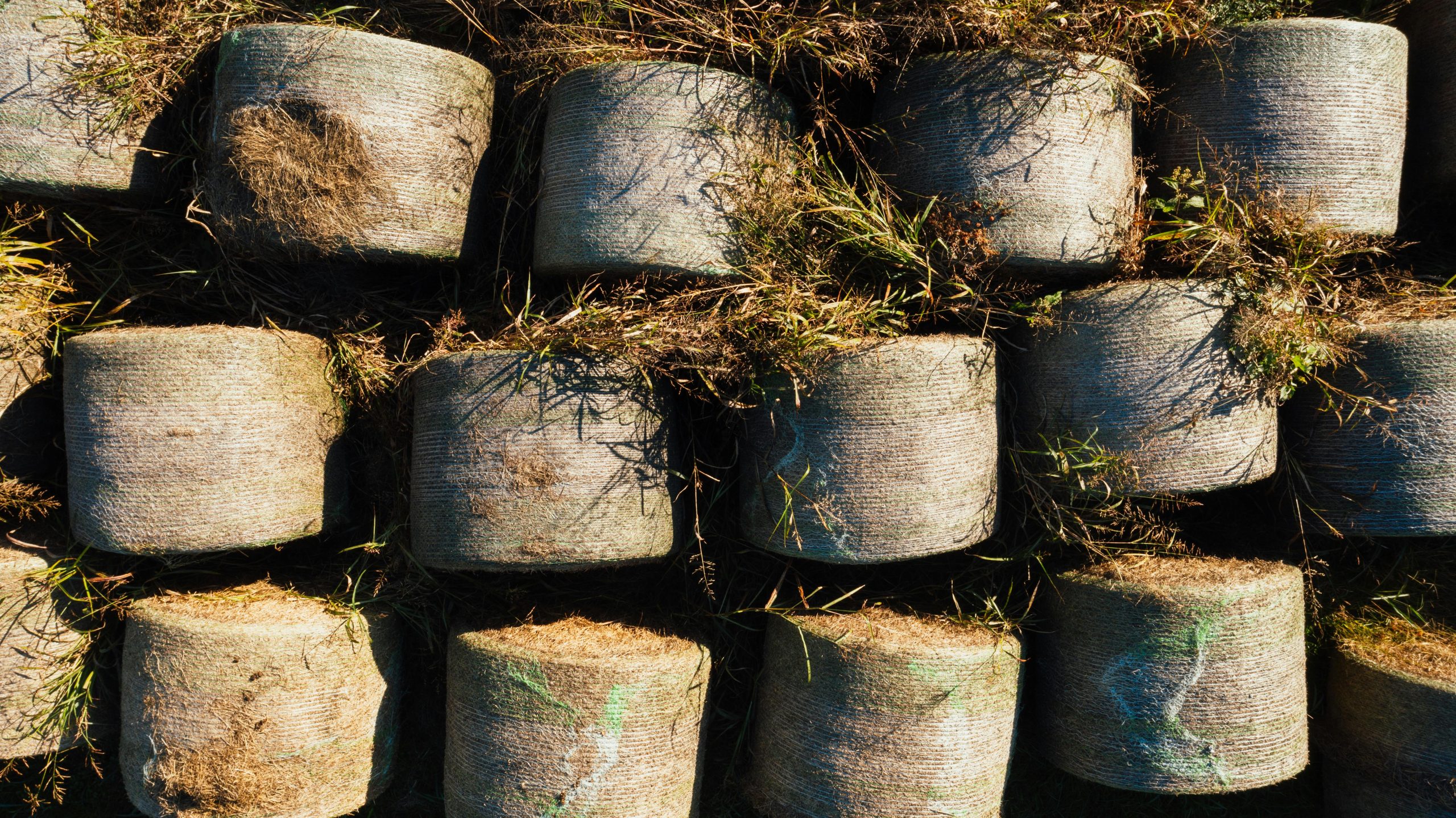 agro buvnieciba latvija dabisks risinajums ilgtspejigai buvniecibai