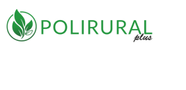 vidzemes pasvaldibas mekle risinajumus efektivakai nekustama ipasuma un pasvaldibu procesu parvaldibai