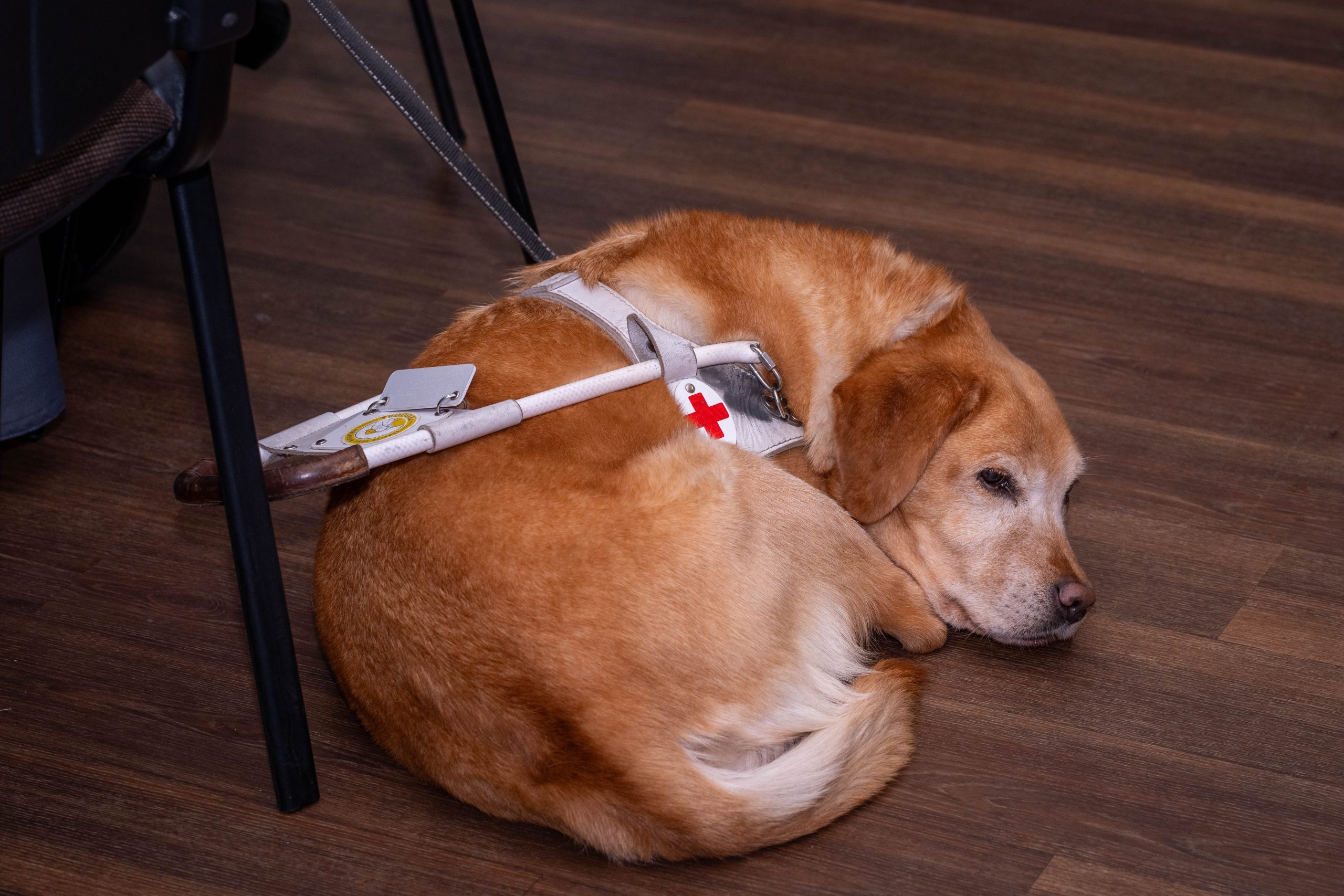 eiropas komisijas un interreg programmas parstavji vidzeme atzinigi verte pieejamibas risinajumus turisma