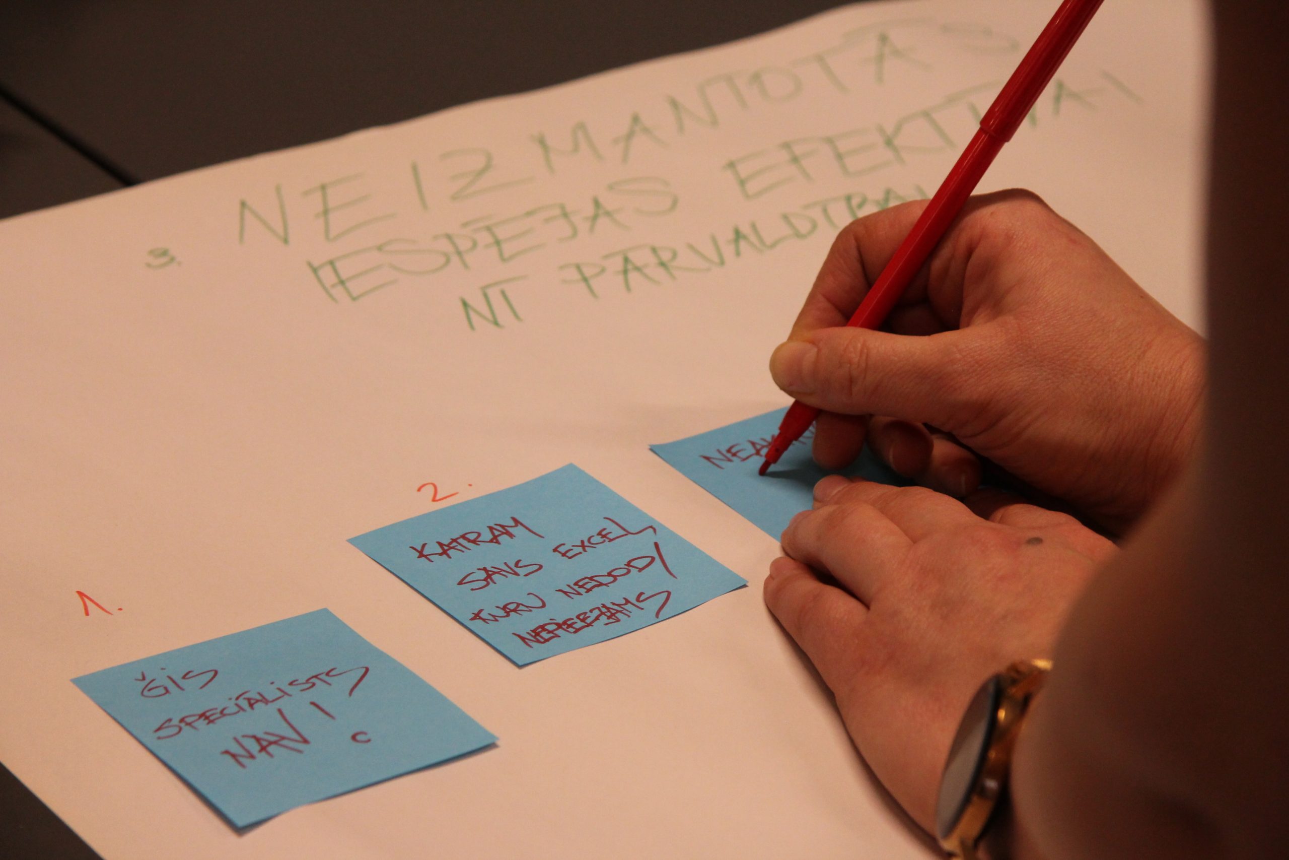 vidzemes pasvaldibas mekle risinajumus efektivakai nekustama ipasuma un pasvaldibu procesu parvaldibai