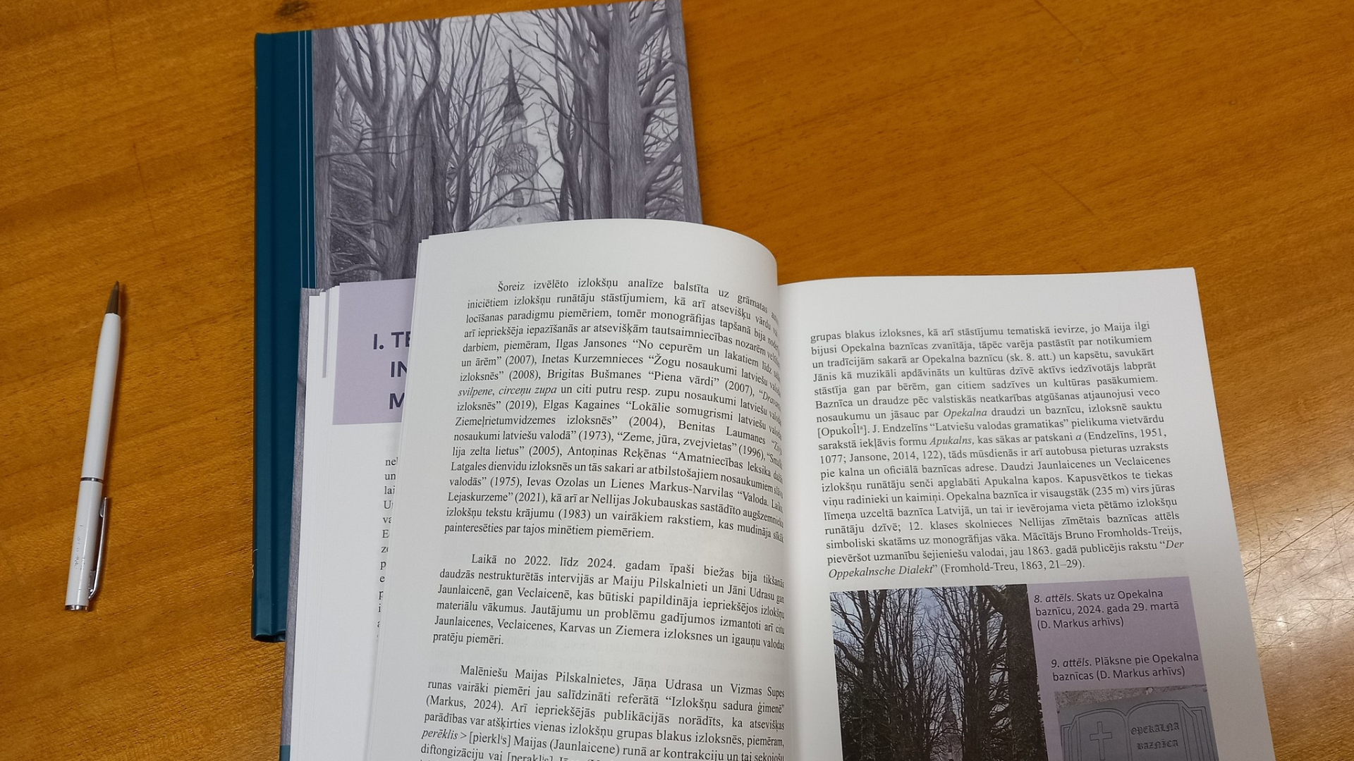 publiceta daces markus monografija izloksnes latvijas igaunijas pierobeza jaunlaicene un veclaicene